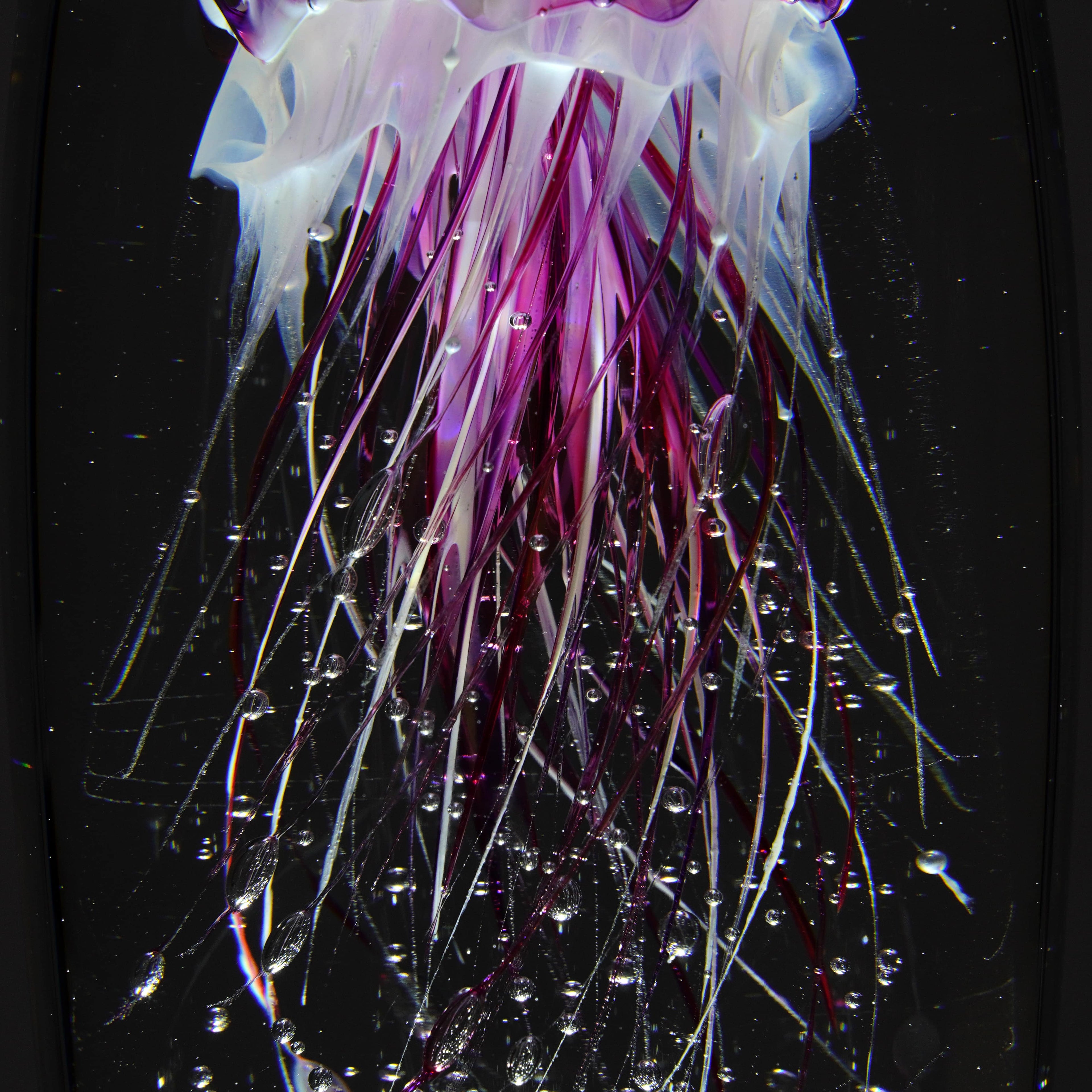 Méduse rose (pièce unique, un seul exemplaire)