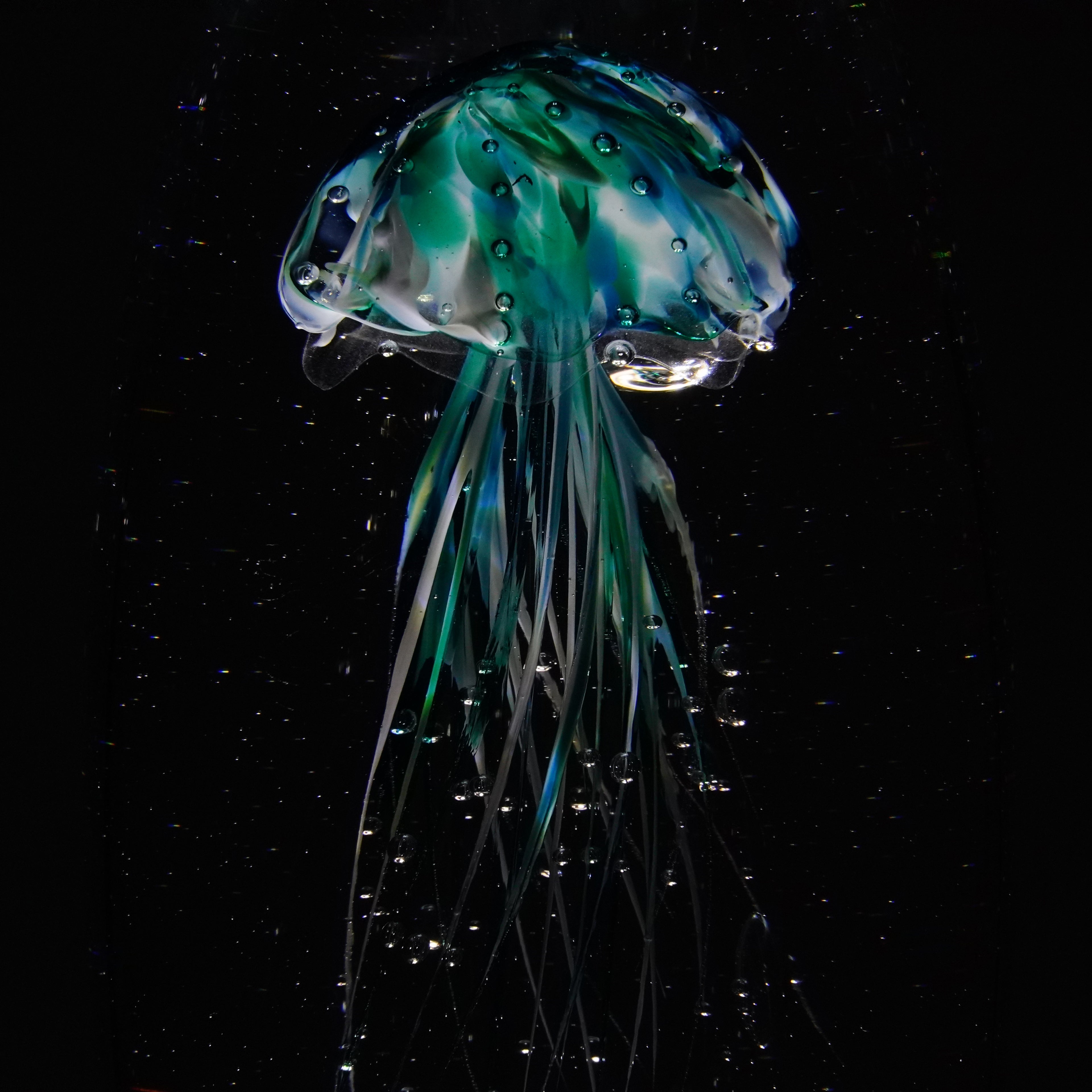 Méduse bleue (pièce unique, un seul exemplaire)