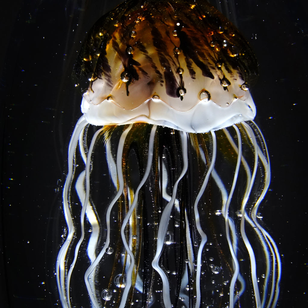 Méduse topaze (pièce unique, un seul exemplaire)
