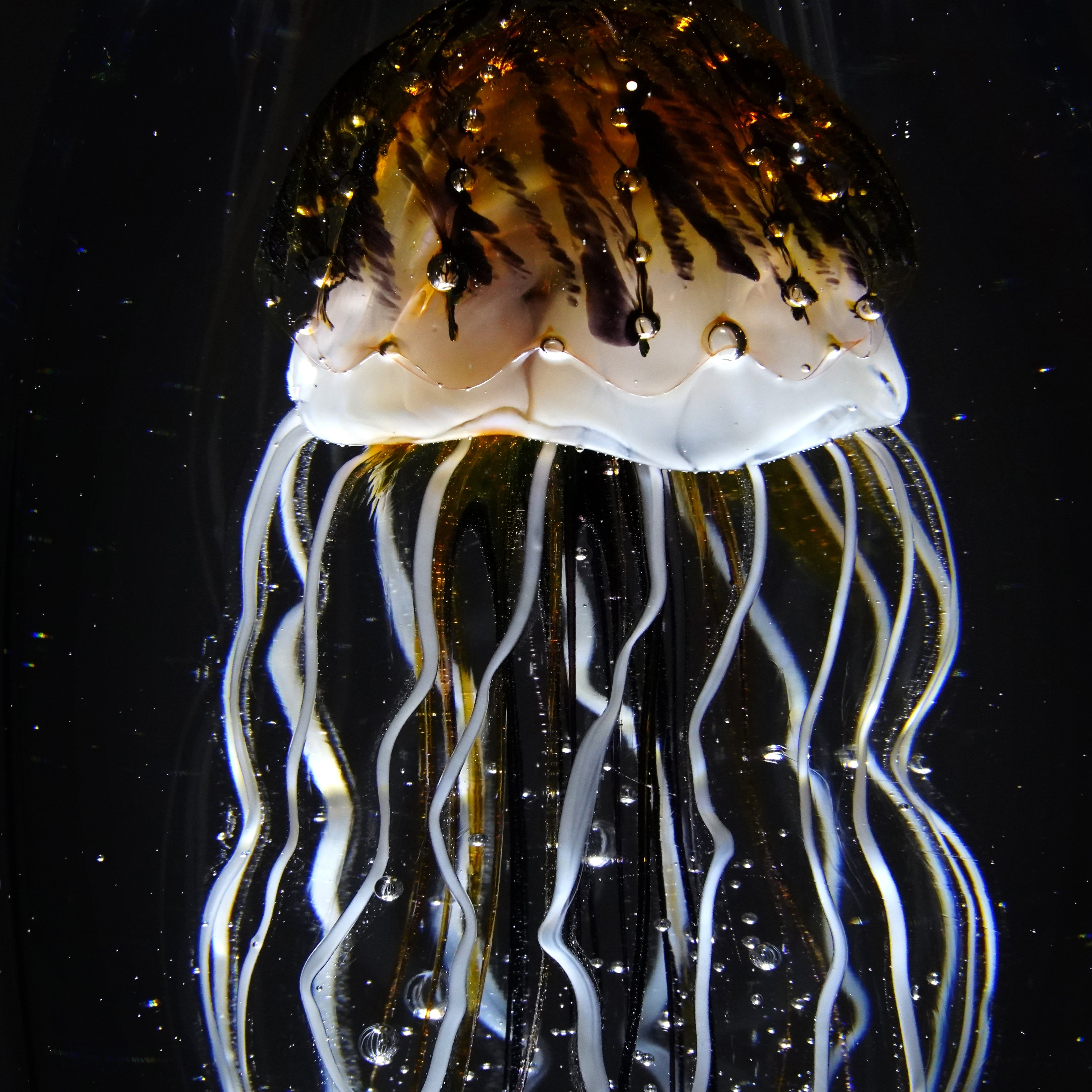 Méduse topaze (pièce unique, un seul exemplaire)