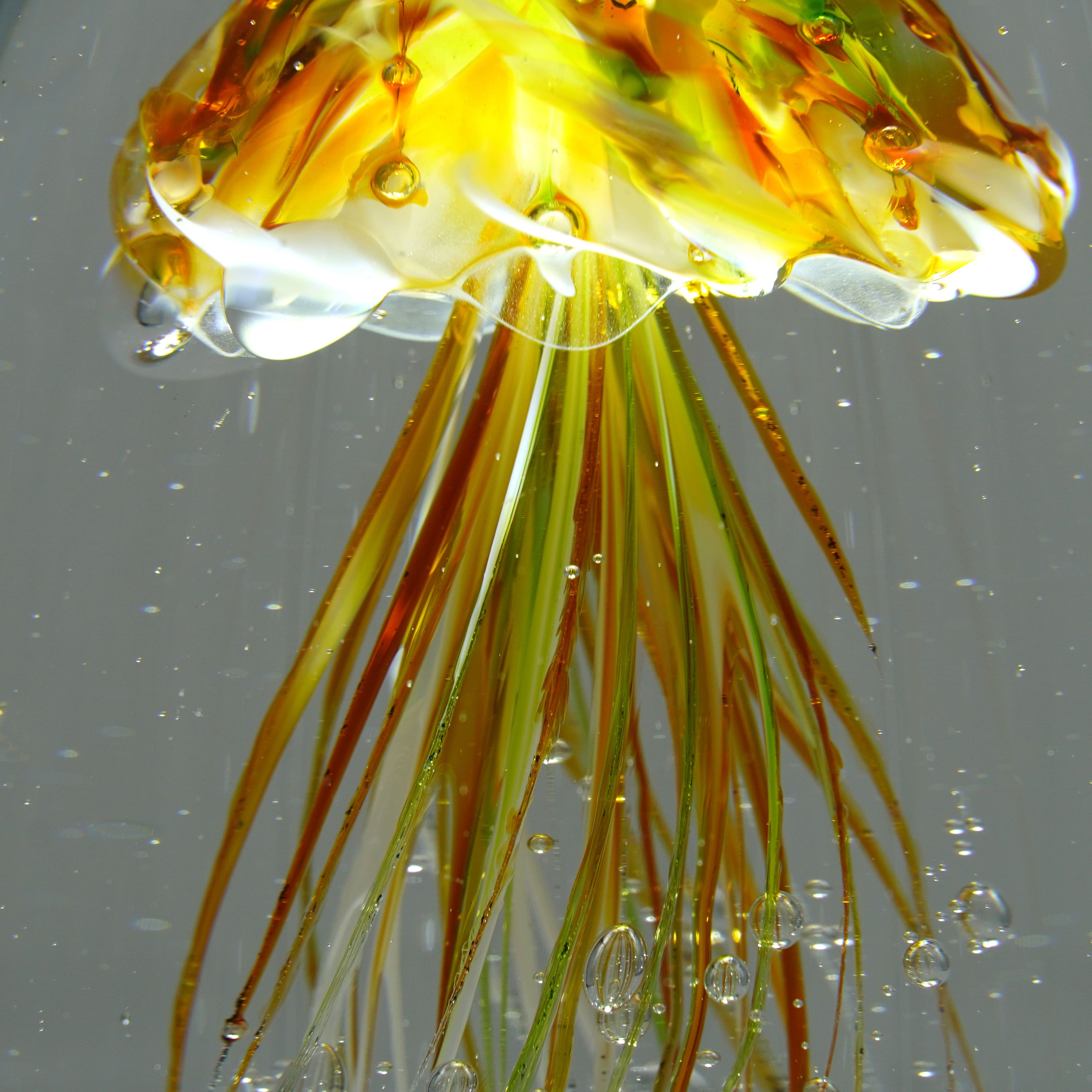 Méduse jaune (pièce unique, un seul exemplaire)