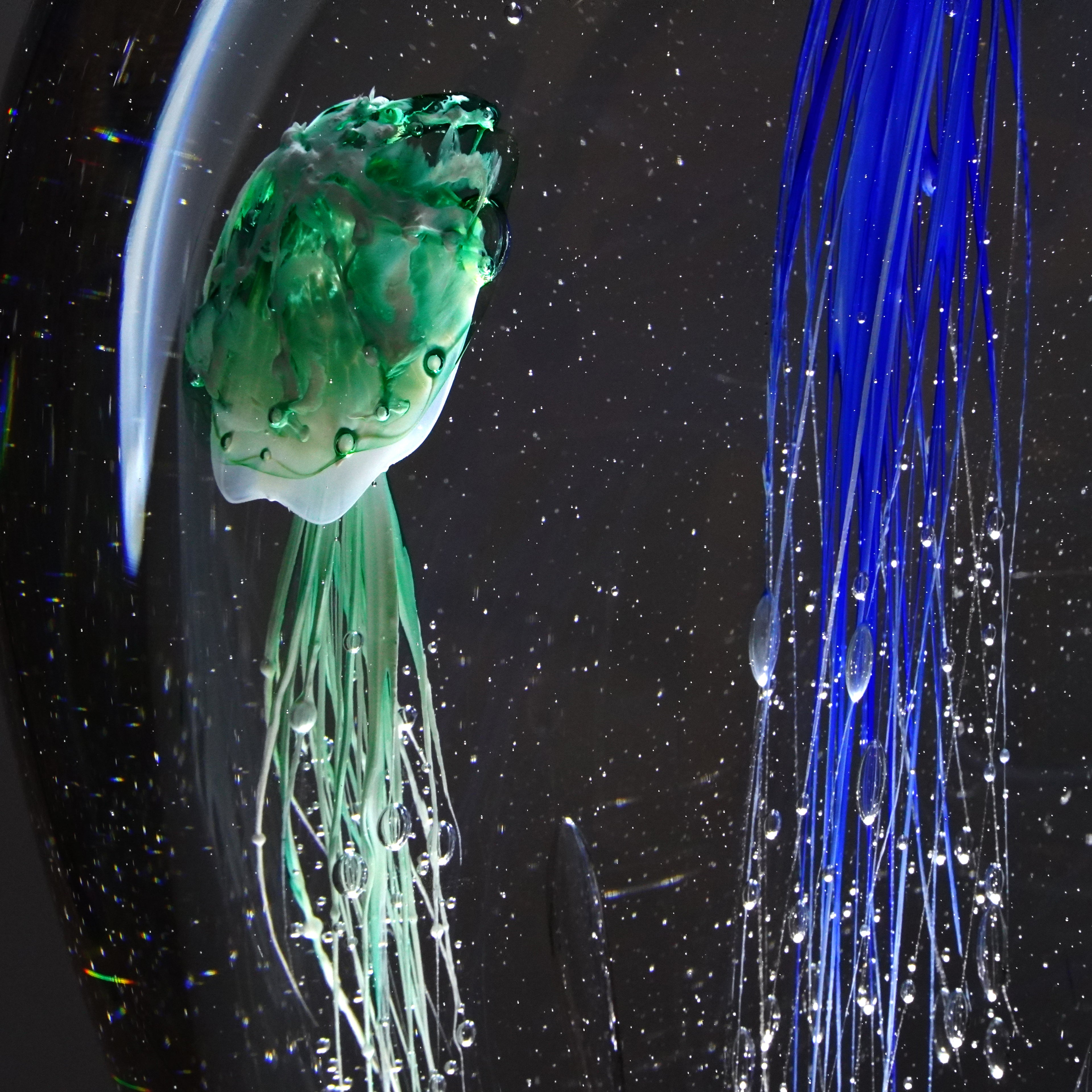 Méduses bleues (pièce unique, un seul exemplaire)