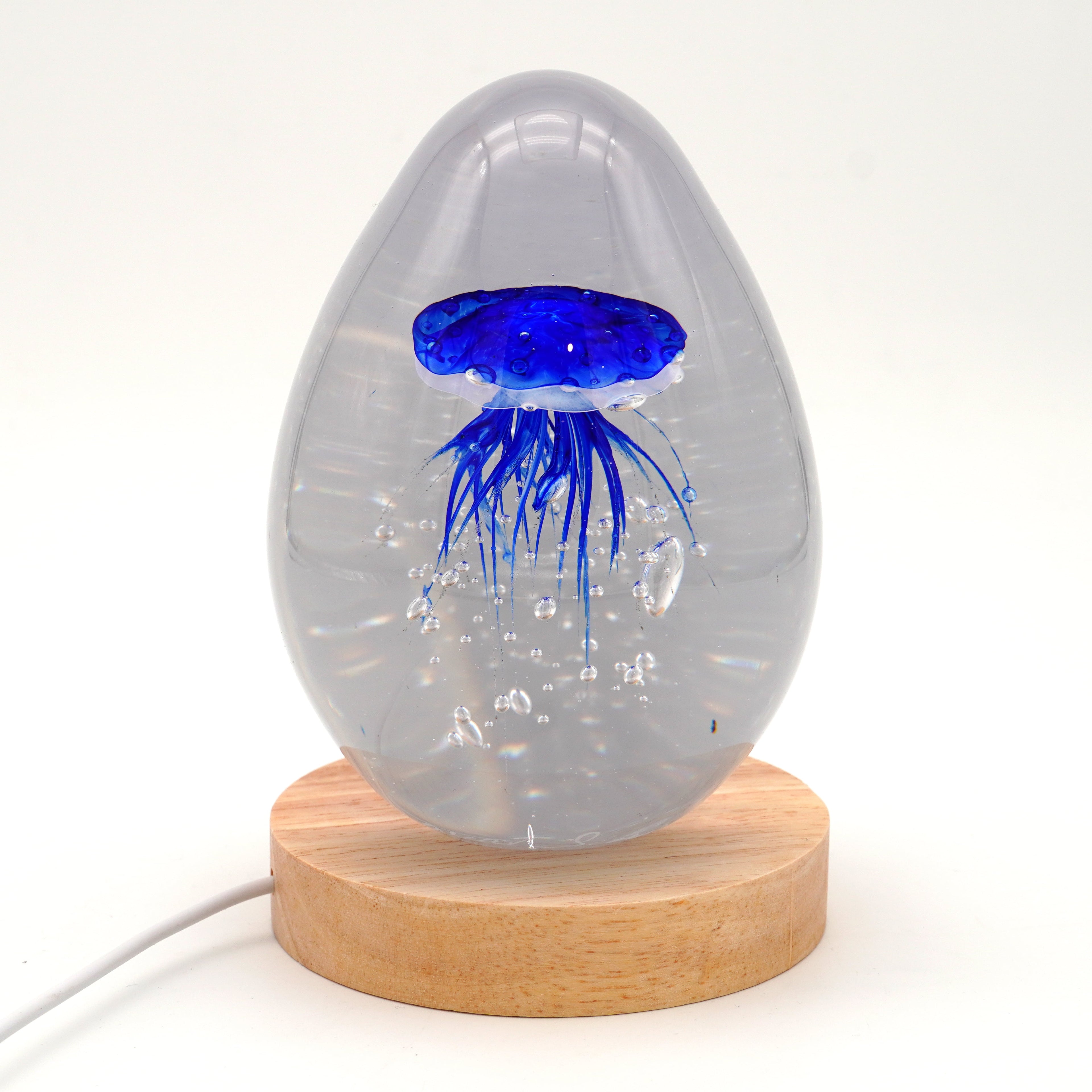 Méduse à fond blanc (déclinable en 11 couleurs)