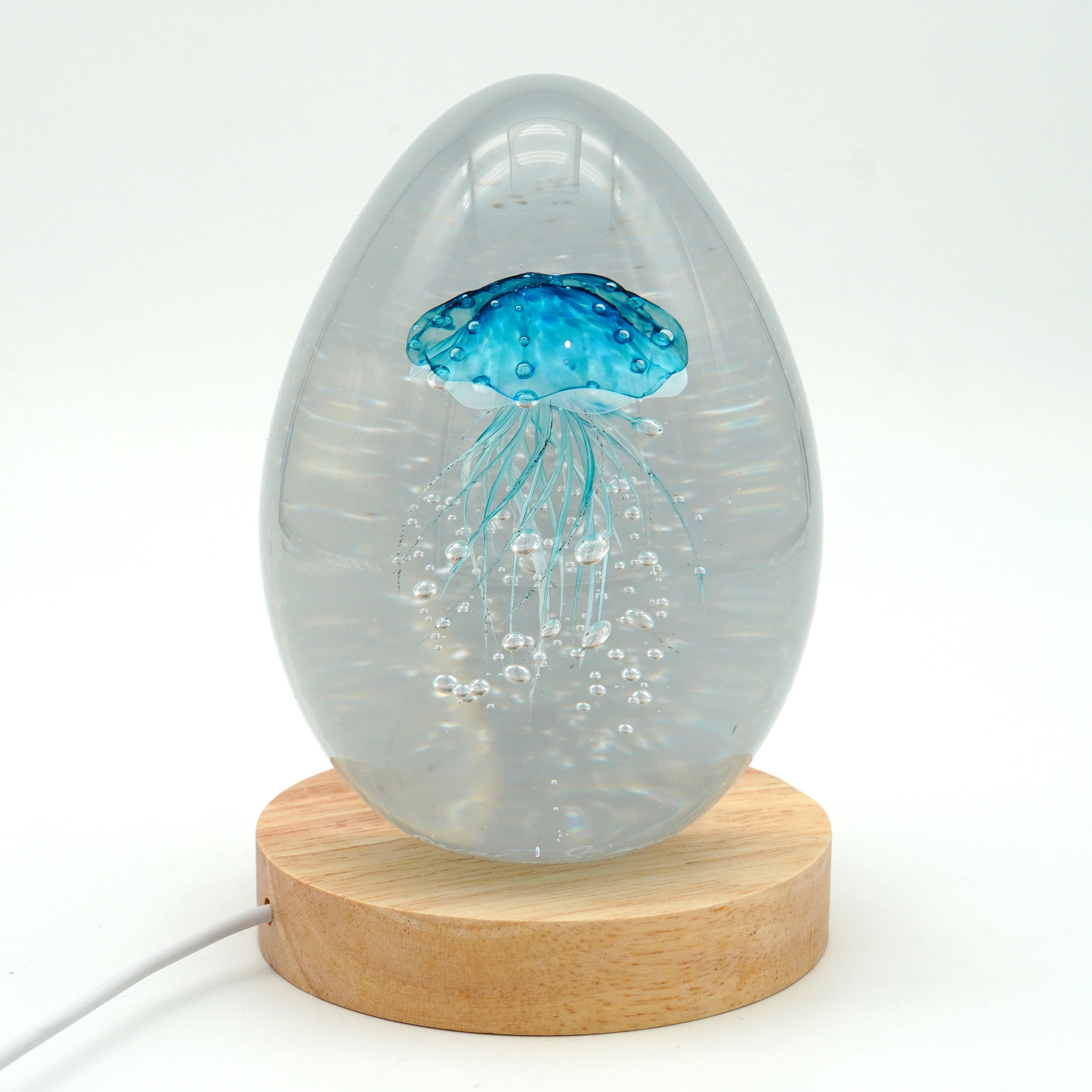 Méduse à fond blanc (déclinable en 11 couleurs)