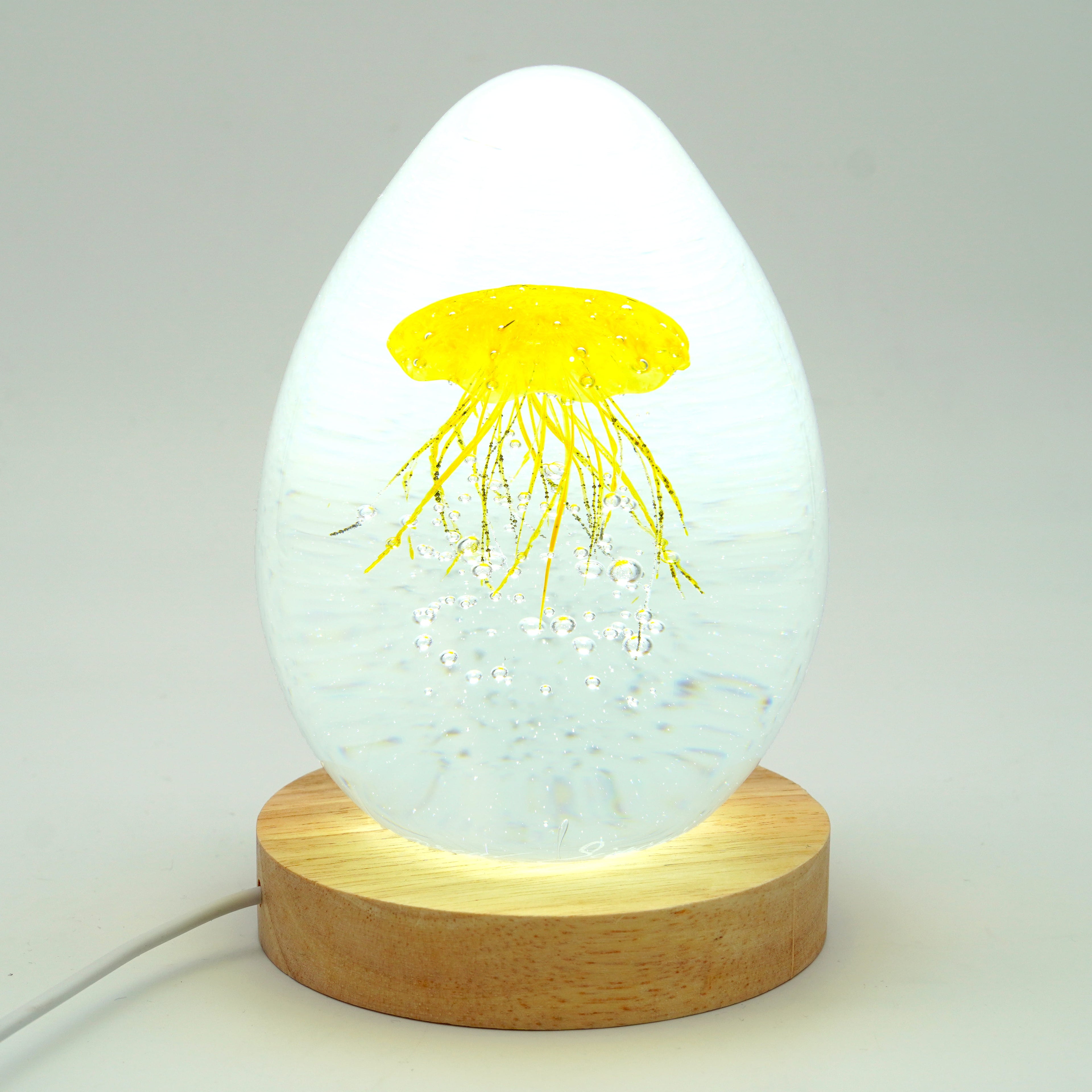 Méduse à fond blanc (déclinable en 11 couleurs)