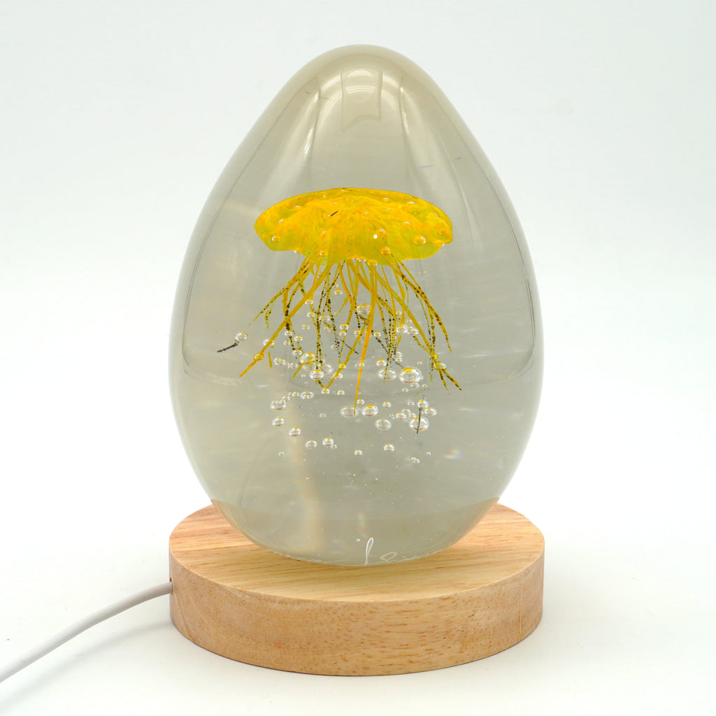 Méduse à fond blanc (déclinable en 11 couleurs)