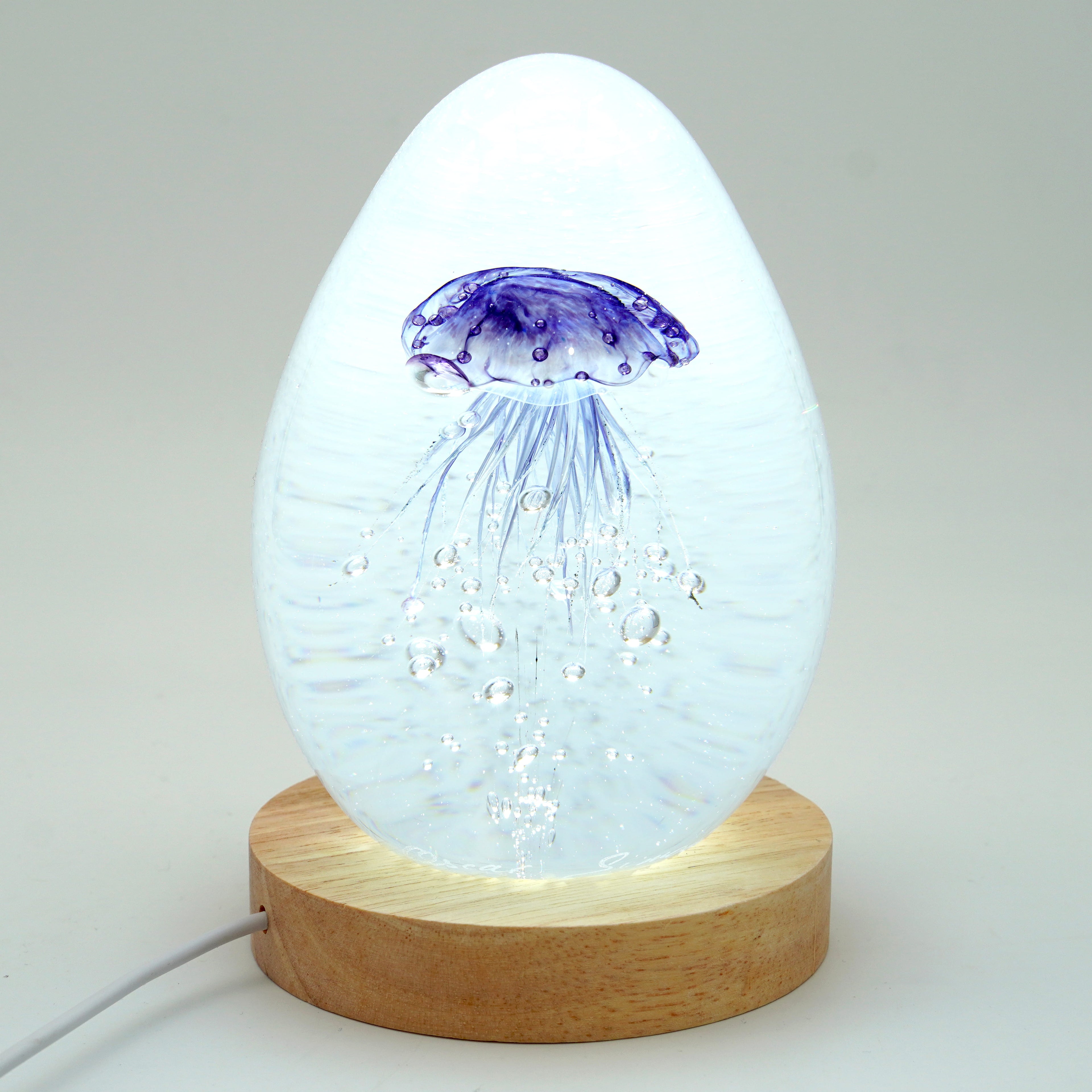 Méduse à fond blanc (déclinable en 11 couleurs)