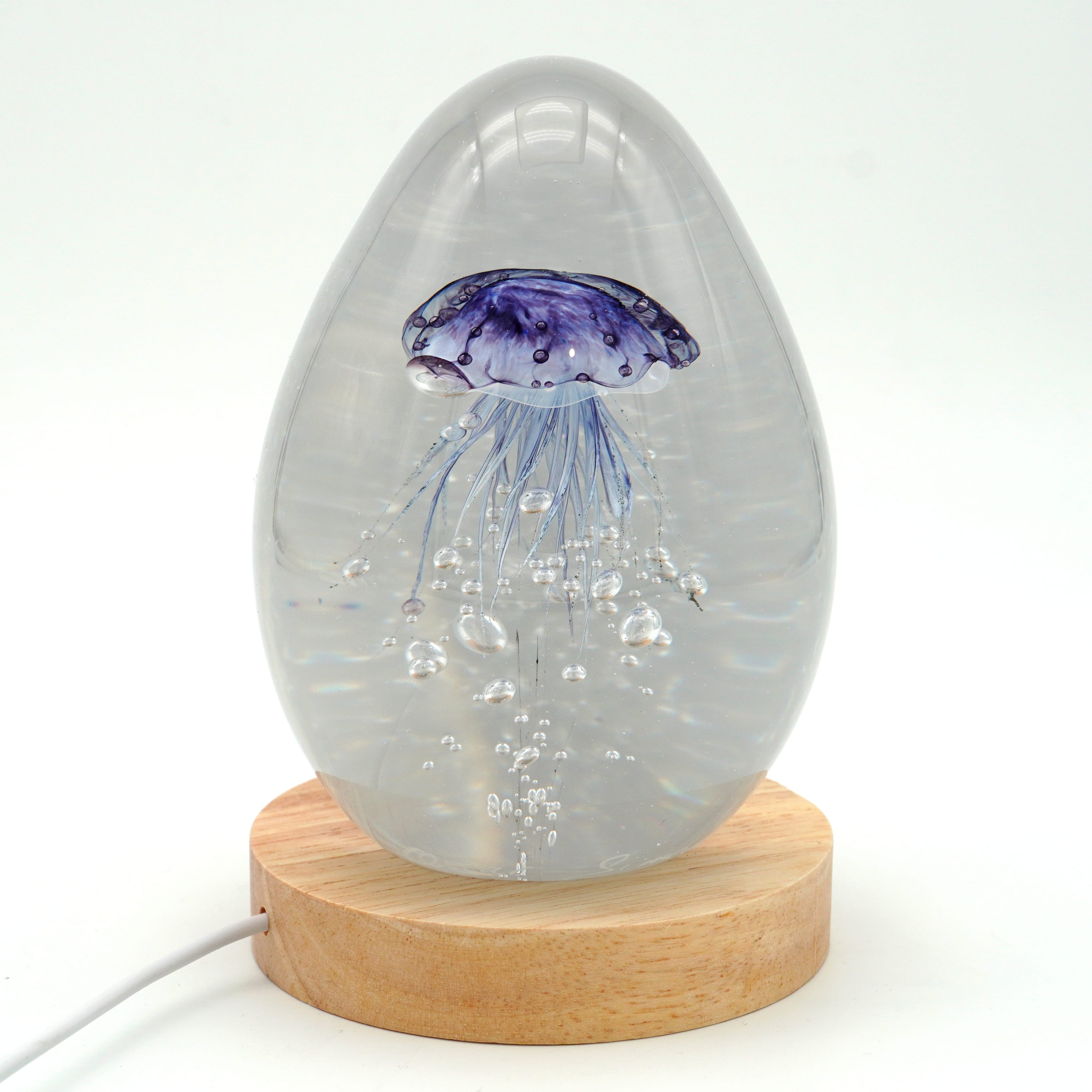 Méduse à fond blanc (déclinable en 11 couleurs)