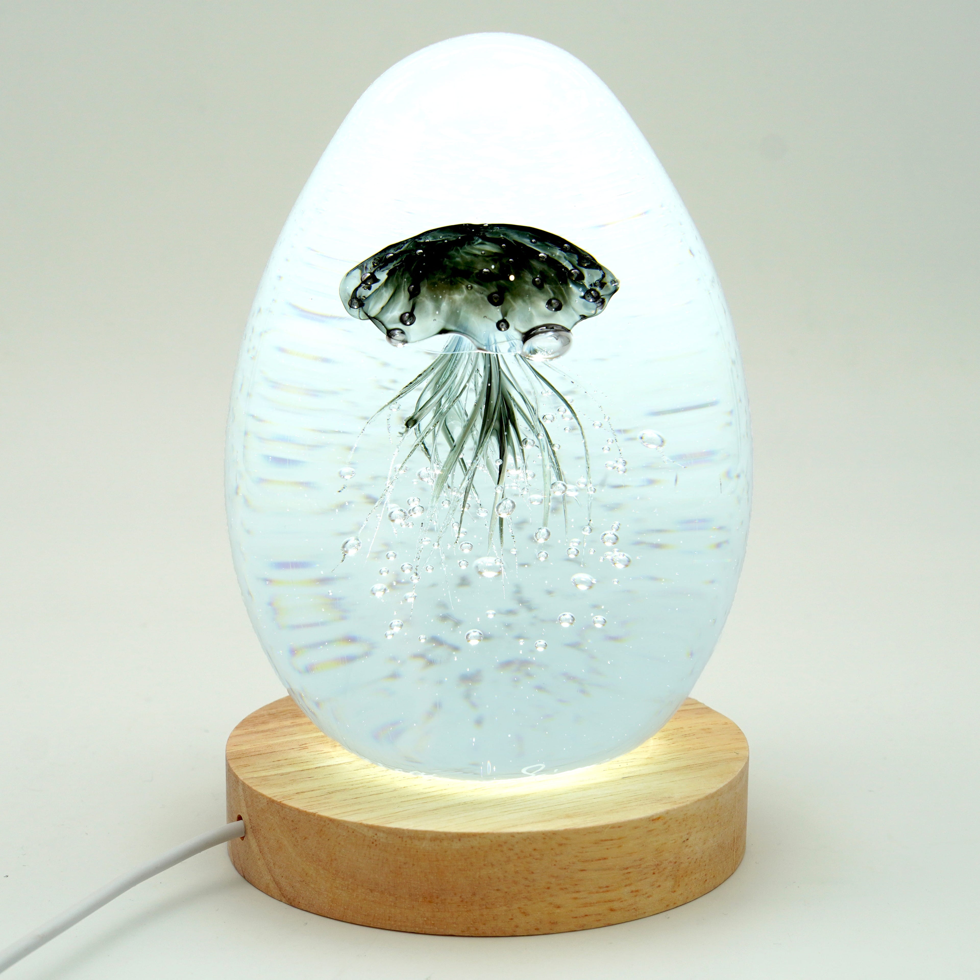 Méduse à fond blanc (déclinable en 11 couleurs)