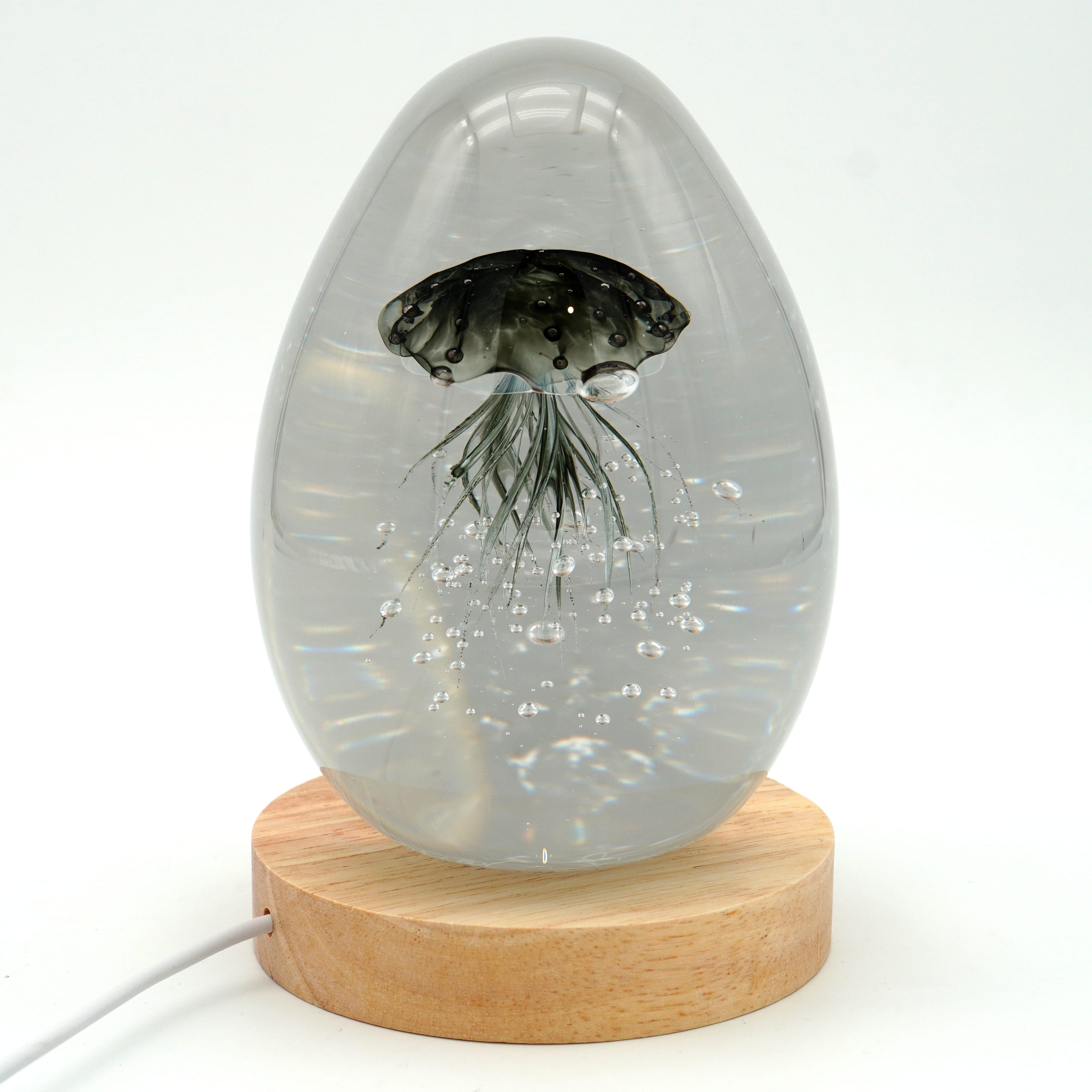 Méduse à fond blanc (déclinable en 11 couleurs)