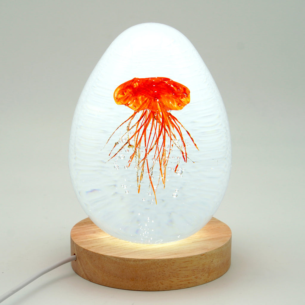 Méduse à fond blanc (déclinable en 11 couleurs)