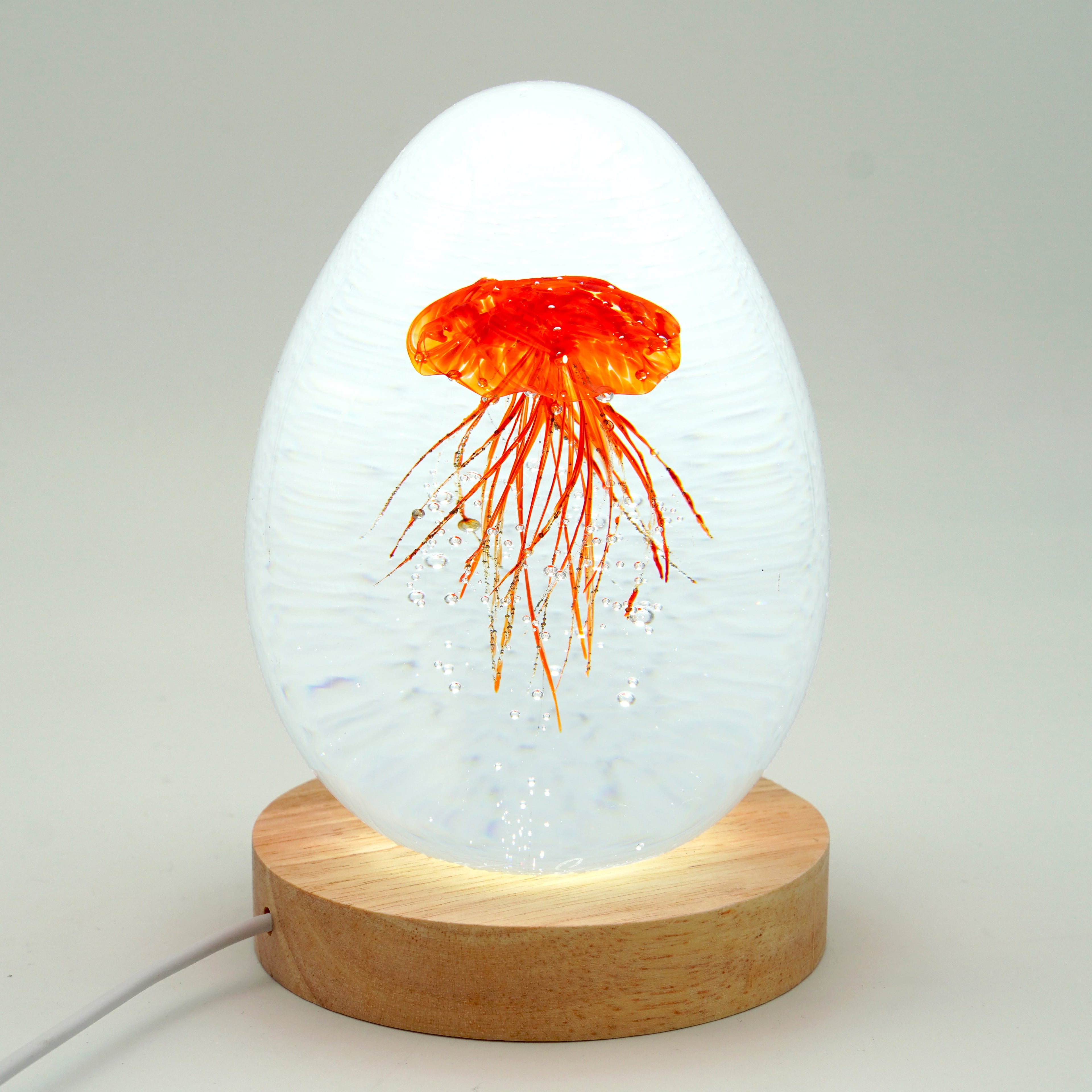 Méduse à fond blanc (déclinable en 11 couleurs)