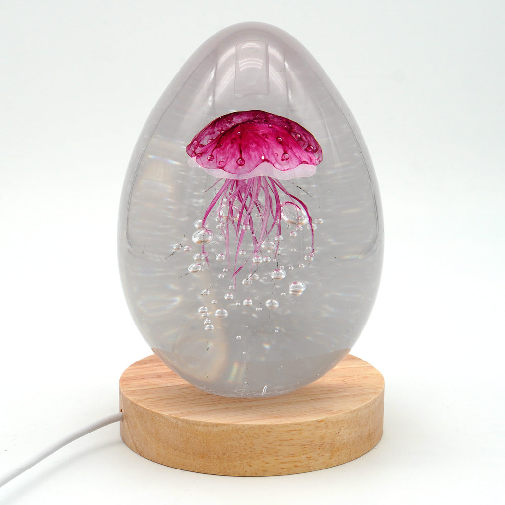 Méduse à fond blanc (déclinable en 11 couleurs)