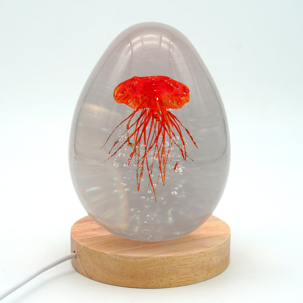 Méduse à fond blanc (déclinable en 11 couleurs)