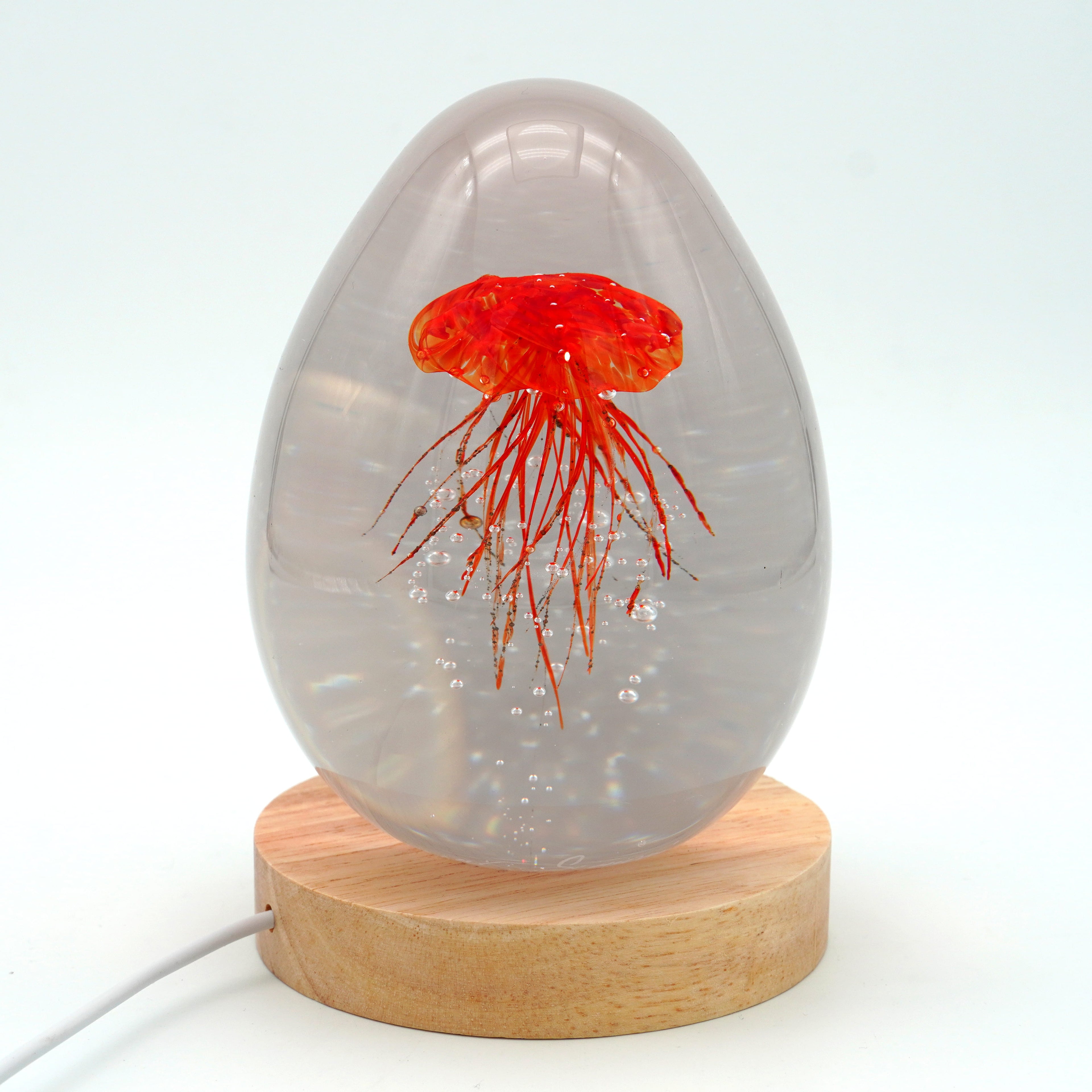 Méduse à fond blanc (déclinable en 11 couleurs)