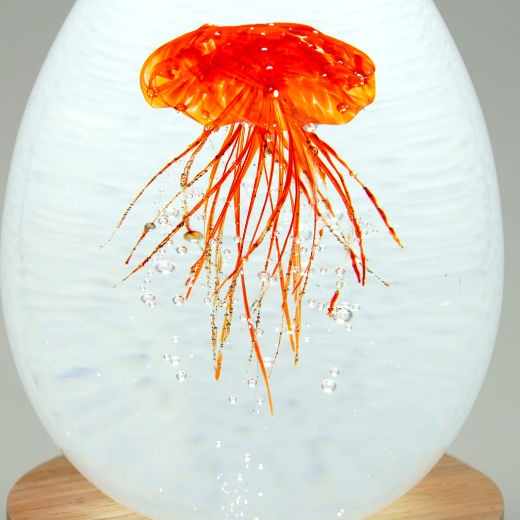 Méduse à fond blanc (déclinable en 11 couleurs)