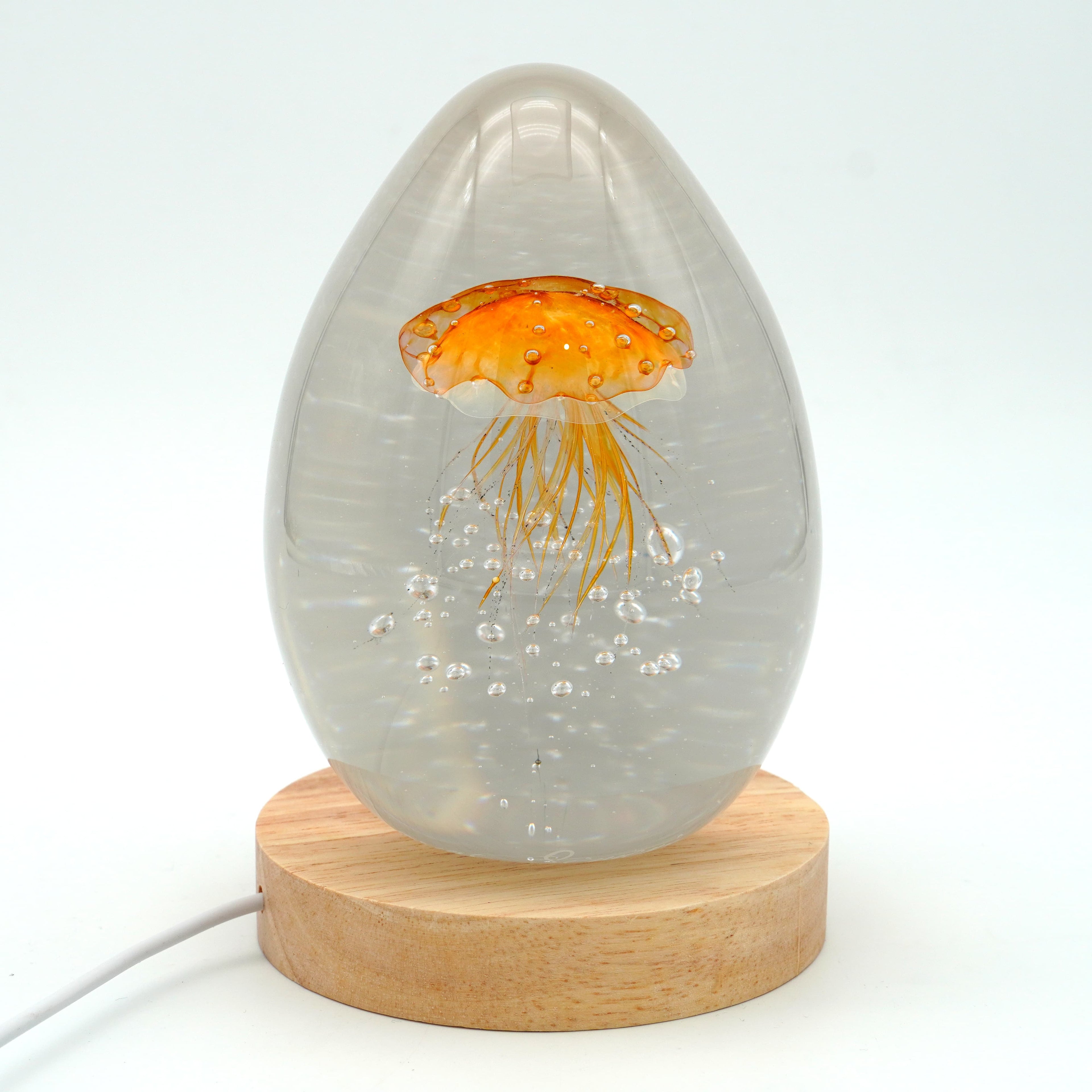 Méduse à fond blanc (déclinable en 11 couleurs)