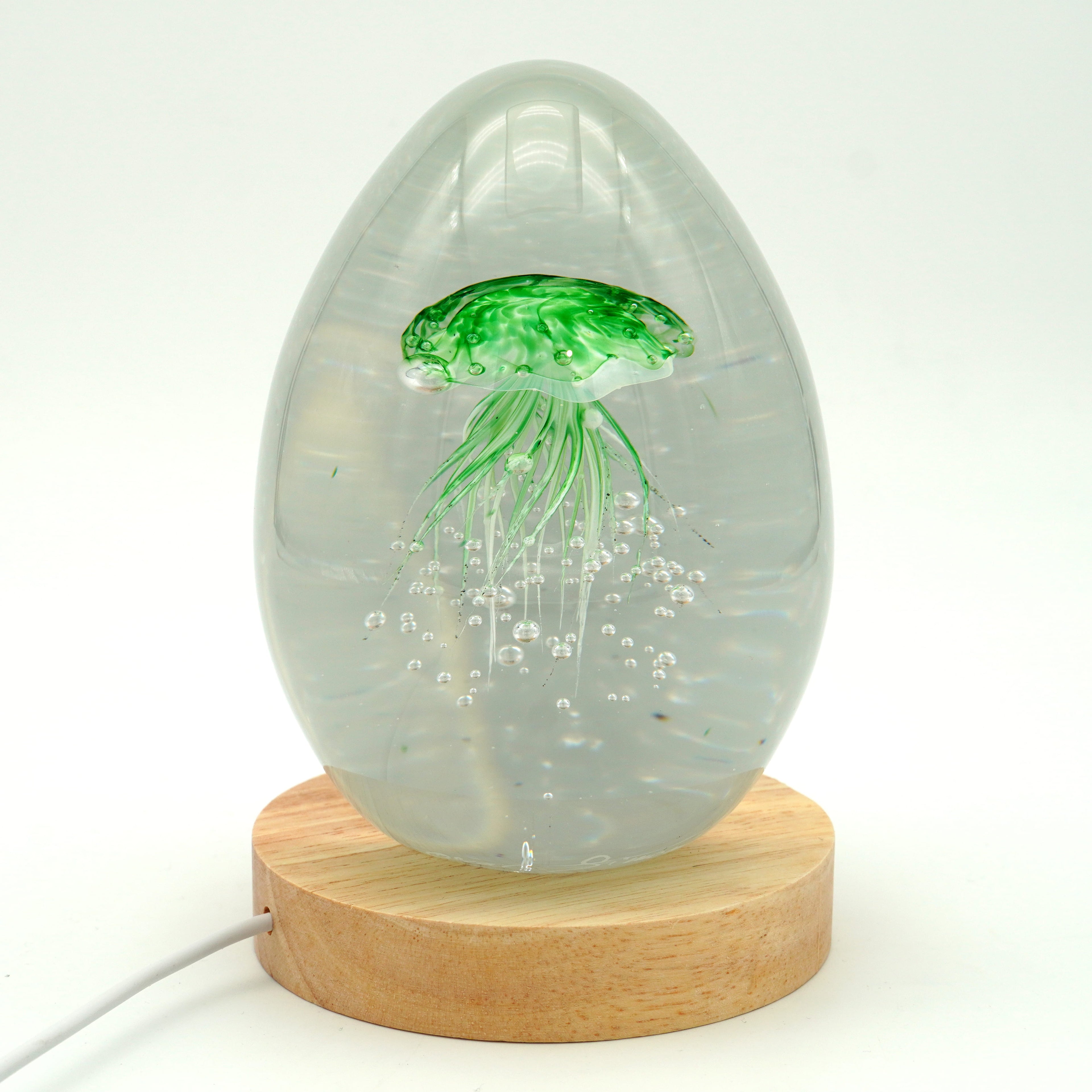 Méduse à fond blanc (déclinable en 11 couleurs)