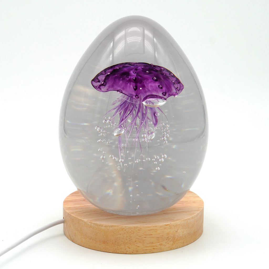 Méduse à fond blanc (déclinable en 11 couleurs)