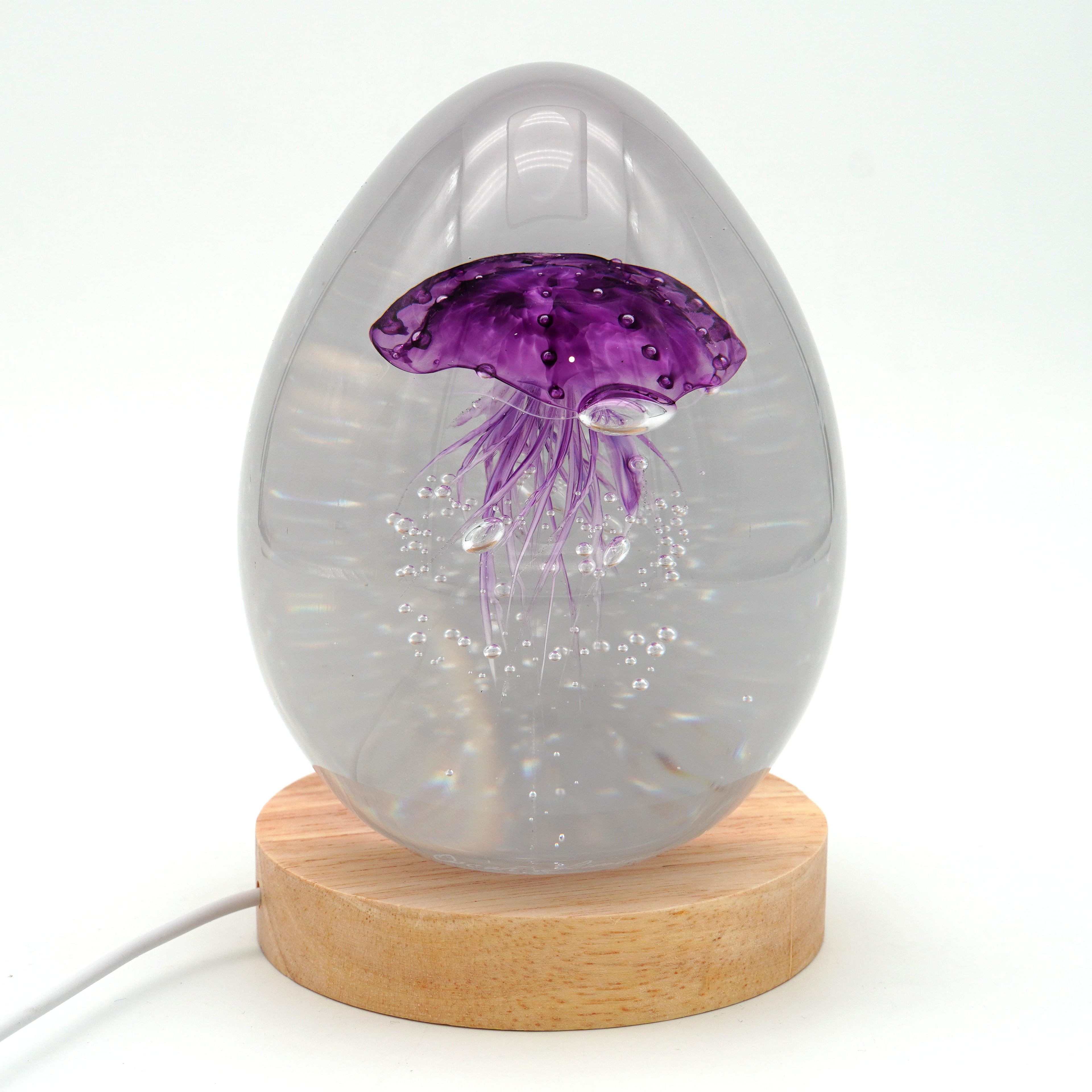 Méduse à fond blanc (déclinable en 11 couleurs)