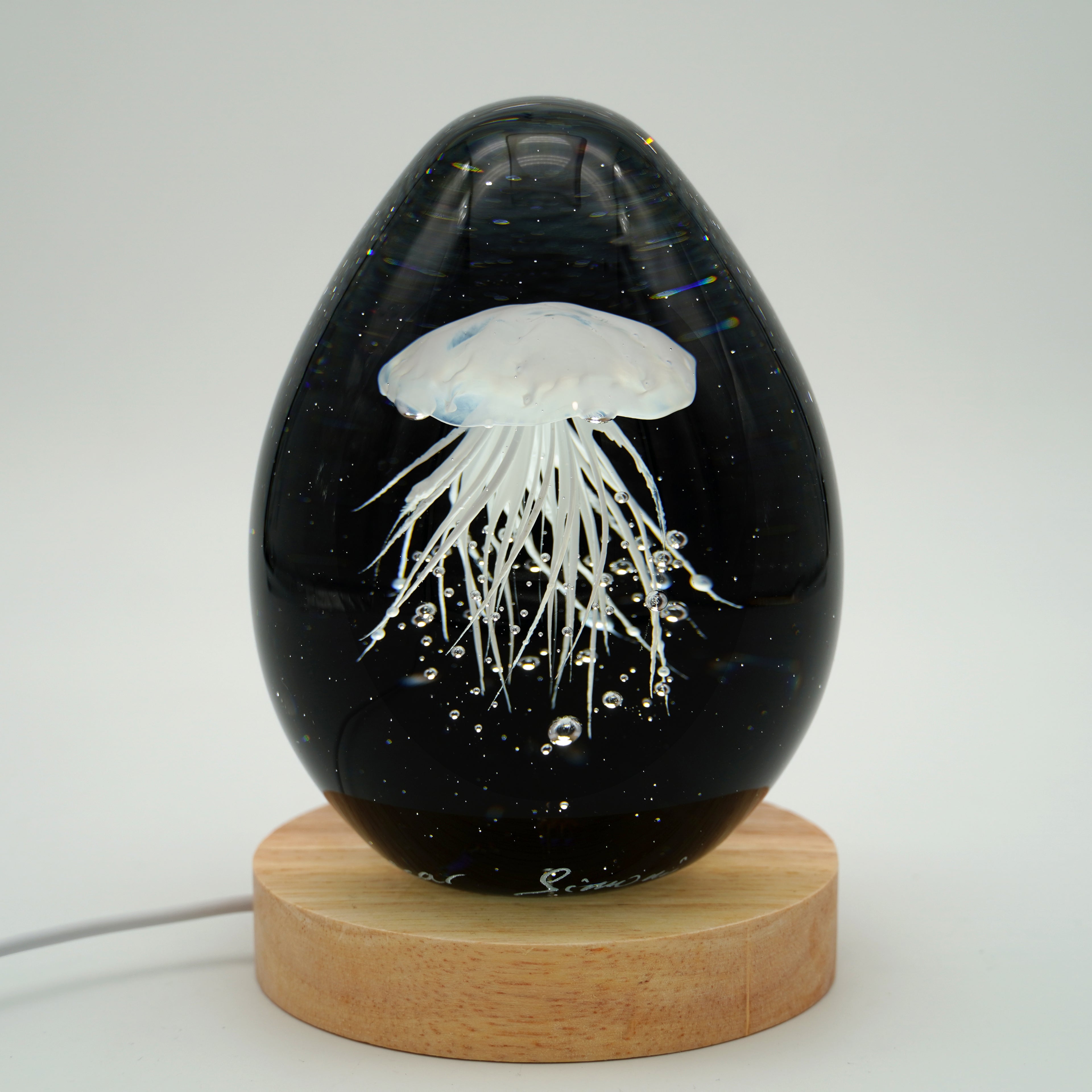 Méduse à fond noir (11 couleurs)