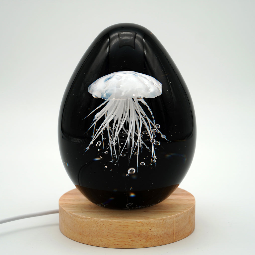 Méduse à fond noir (11 couleurs)