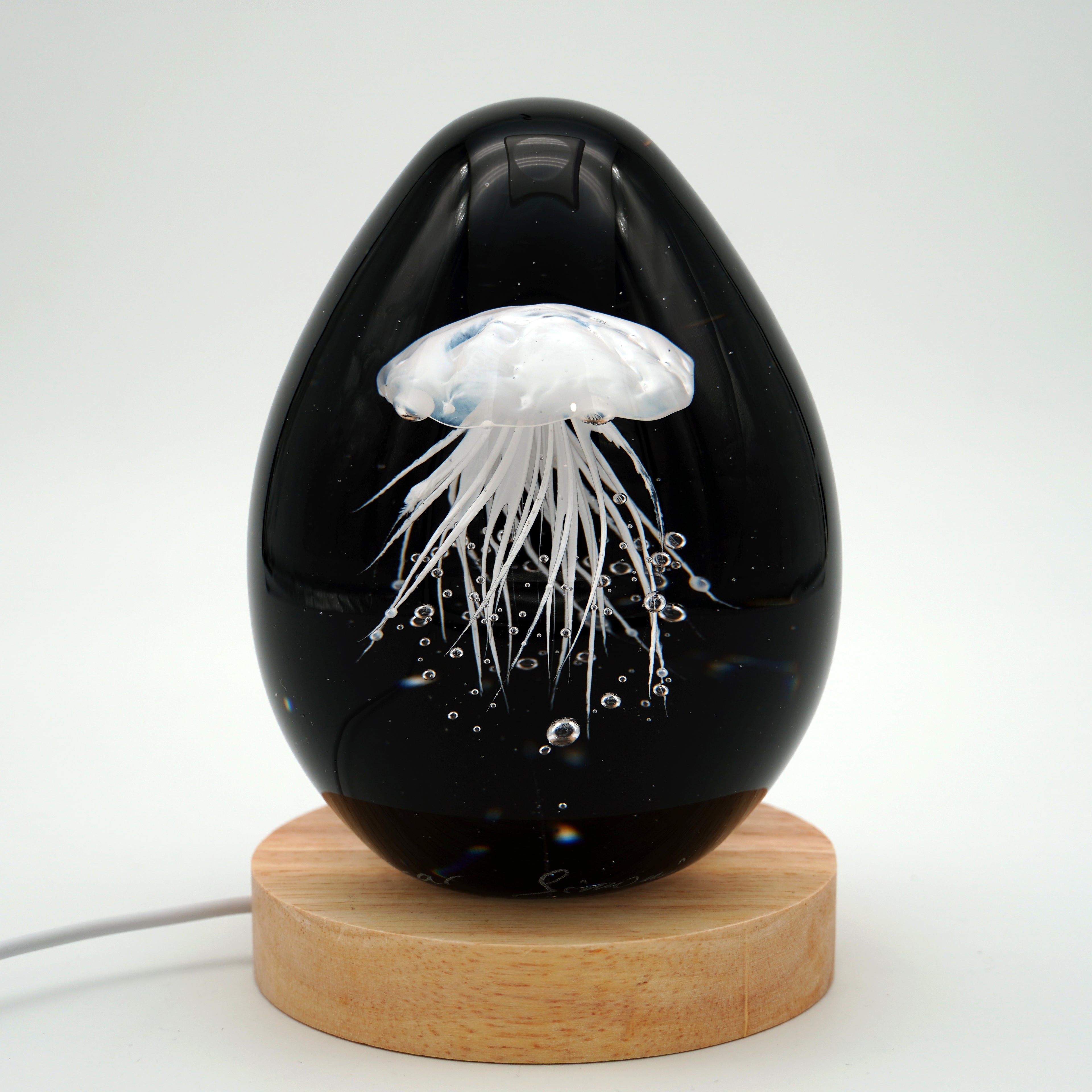 Méduse à fond noir (11 couleurs)