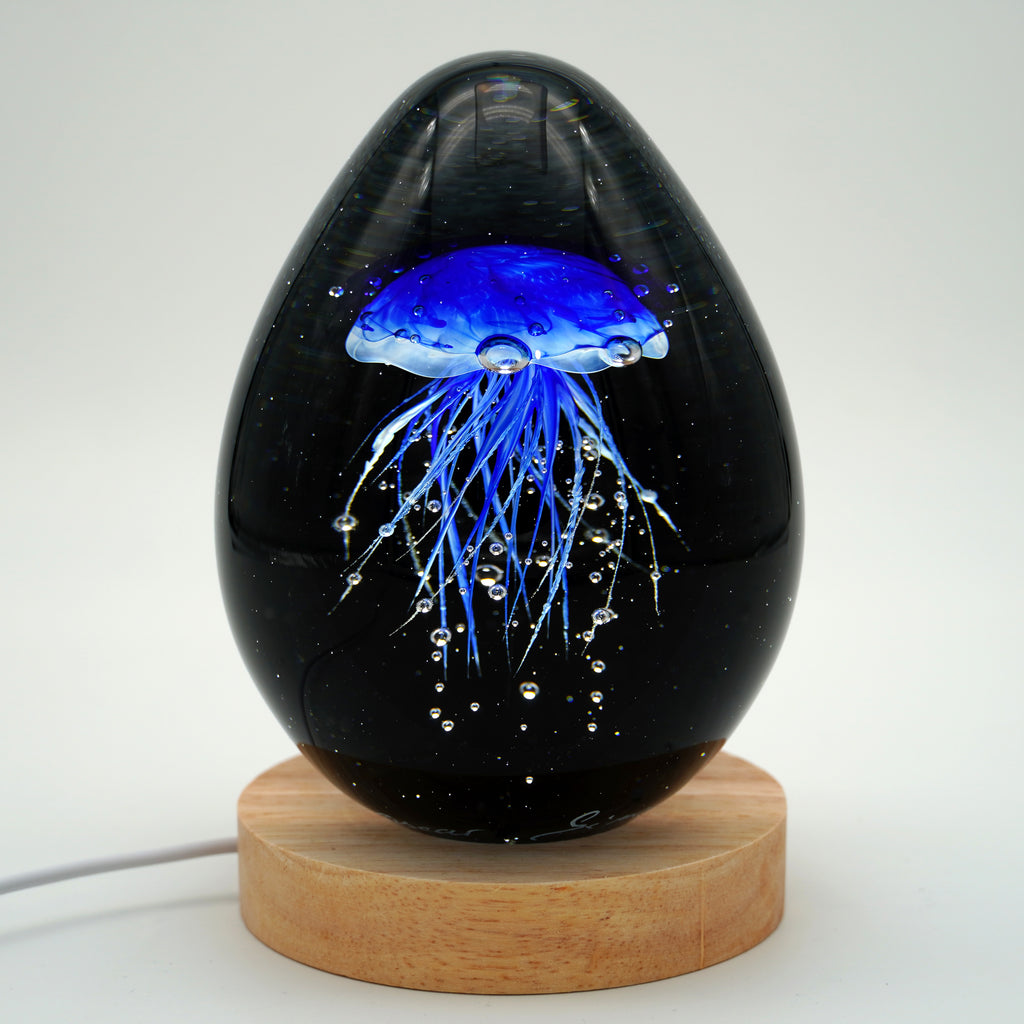 Méduse à fond noir (11 couleurs)