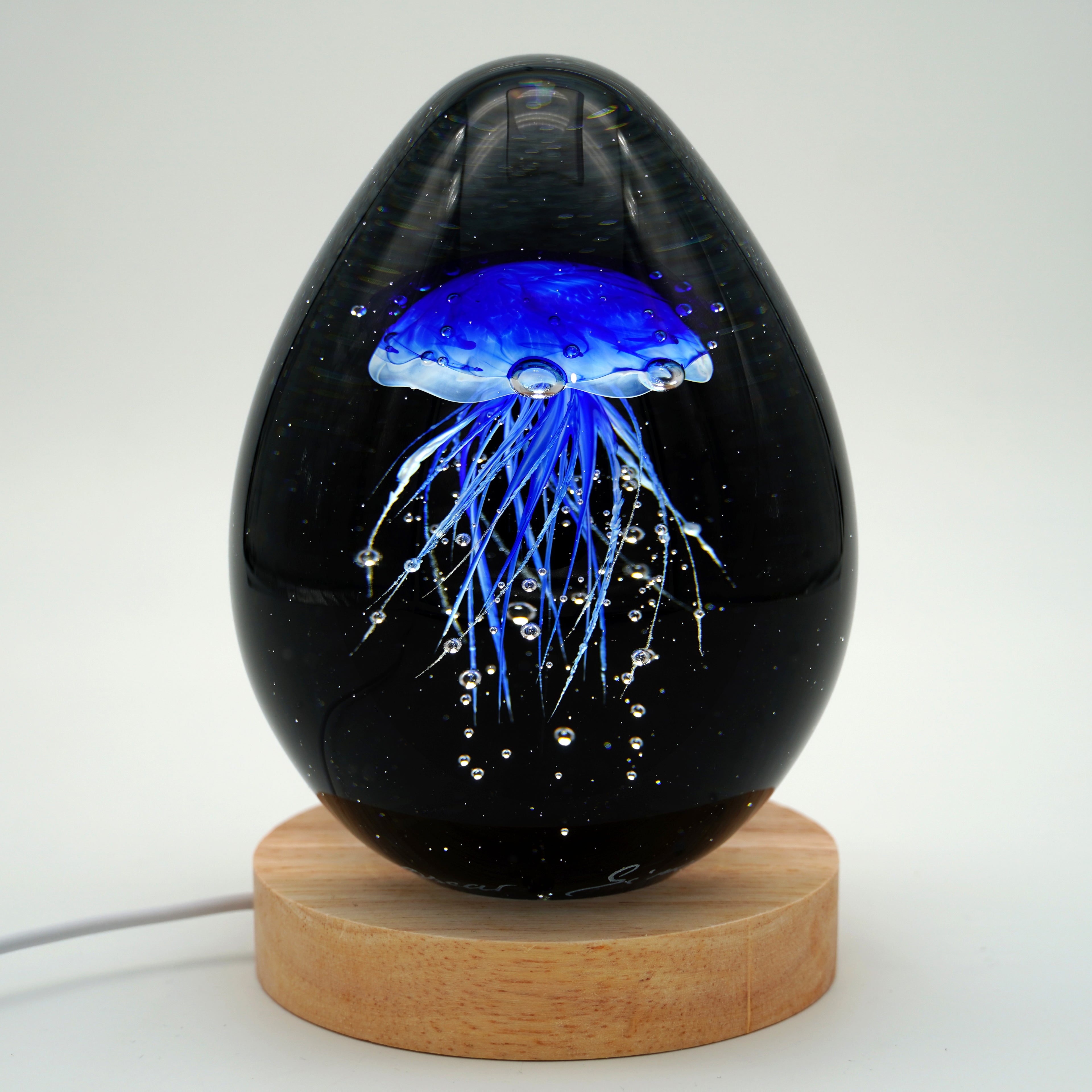 Méduse à fond noir (11 couleurs)