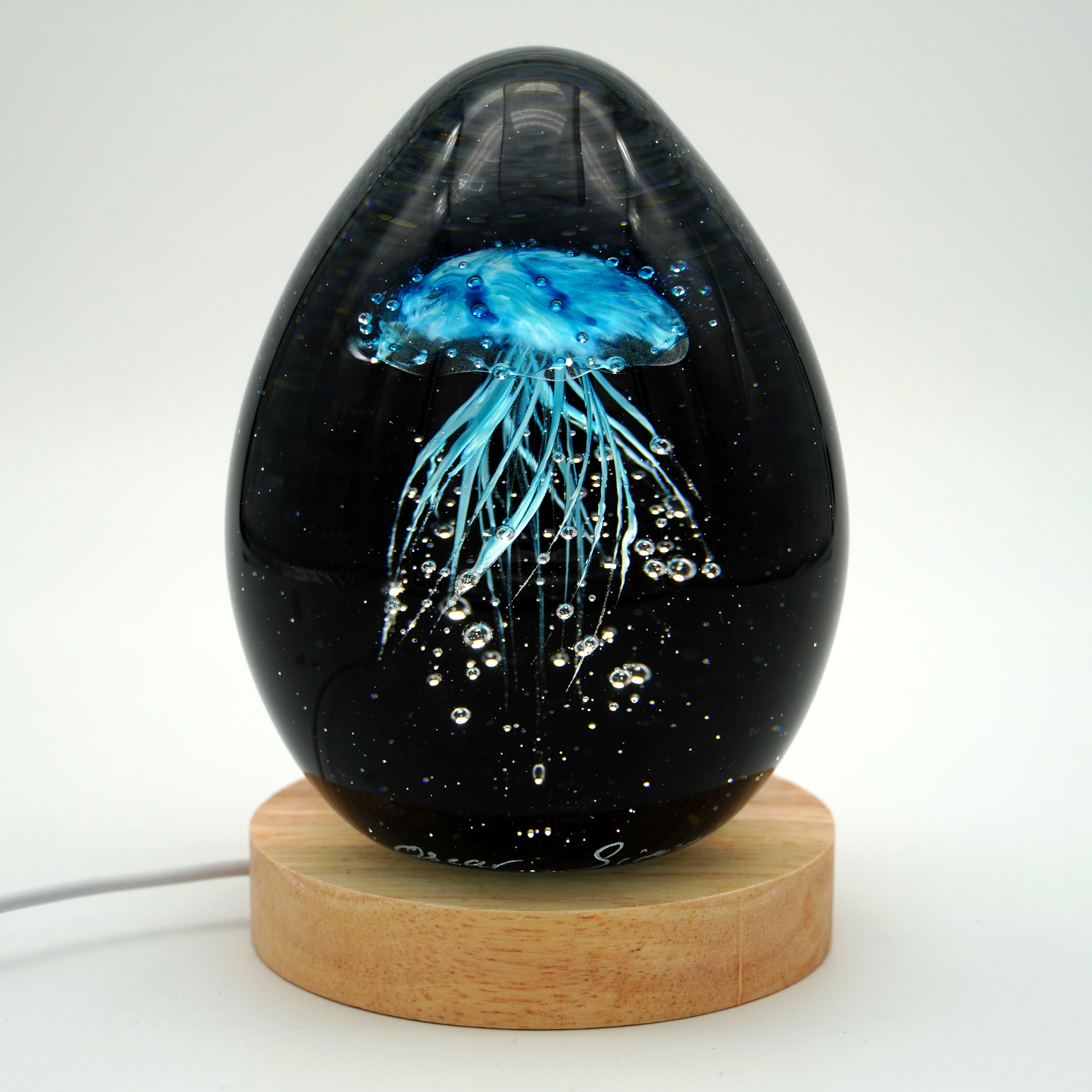 Méduse à fond noir (11 couleurs)