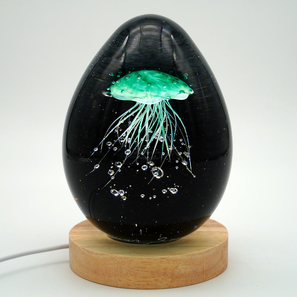 Méduse à fond noir (11 couleurs)