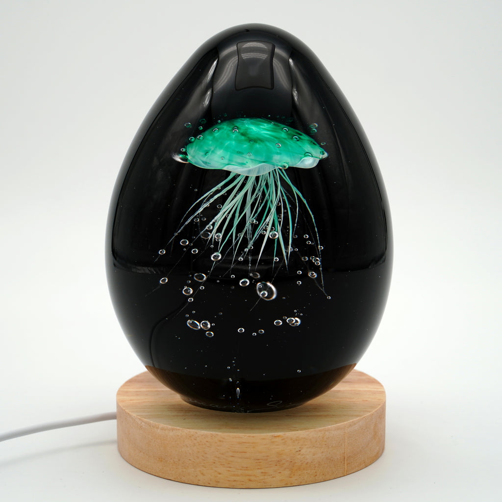 Méduse à fond noir (11 couleurs)