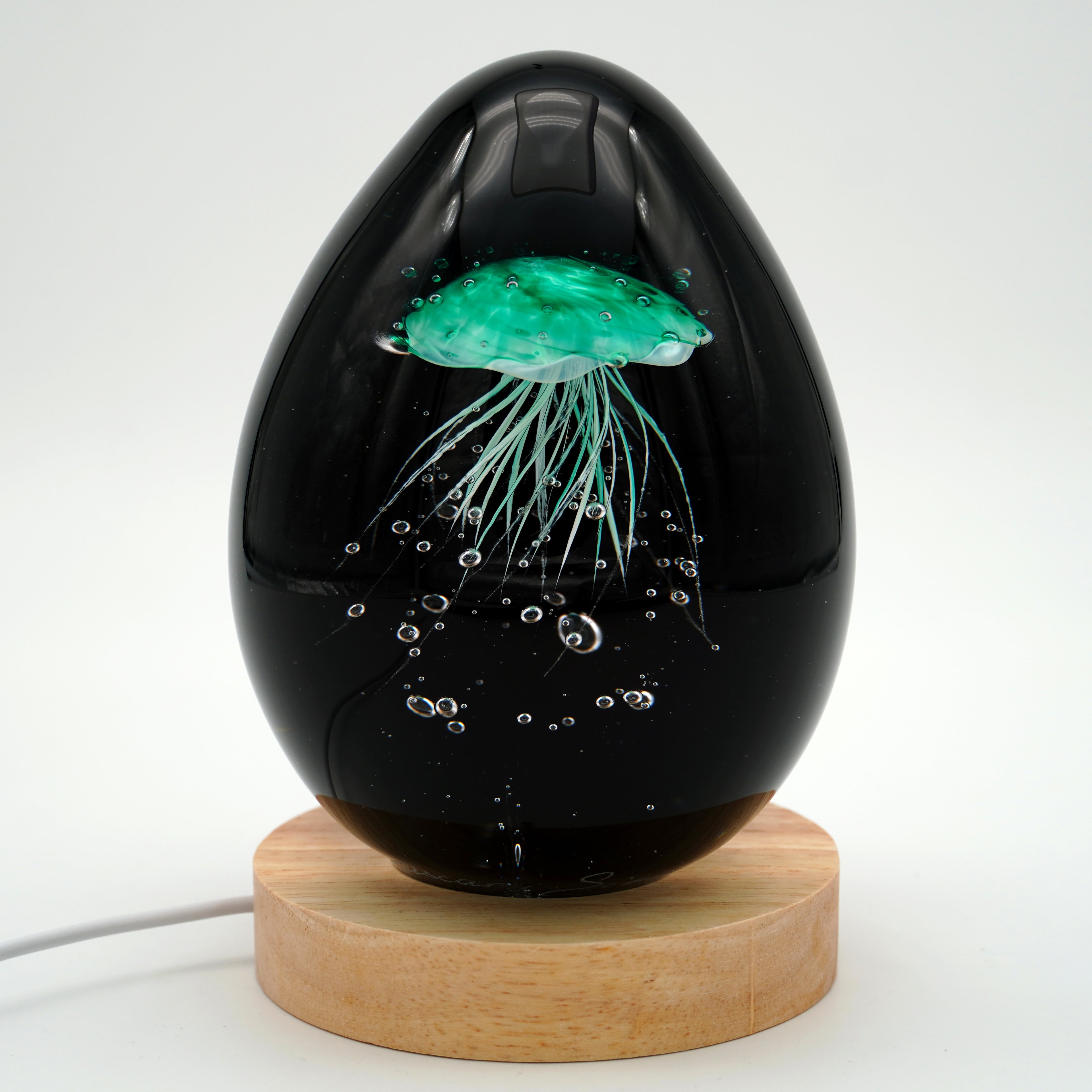 Méduse à fond noir (11 couleurs)