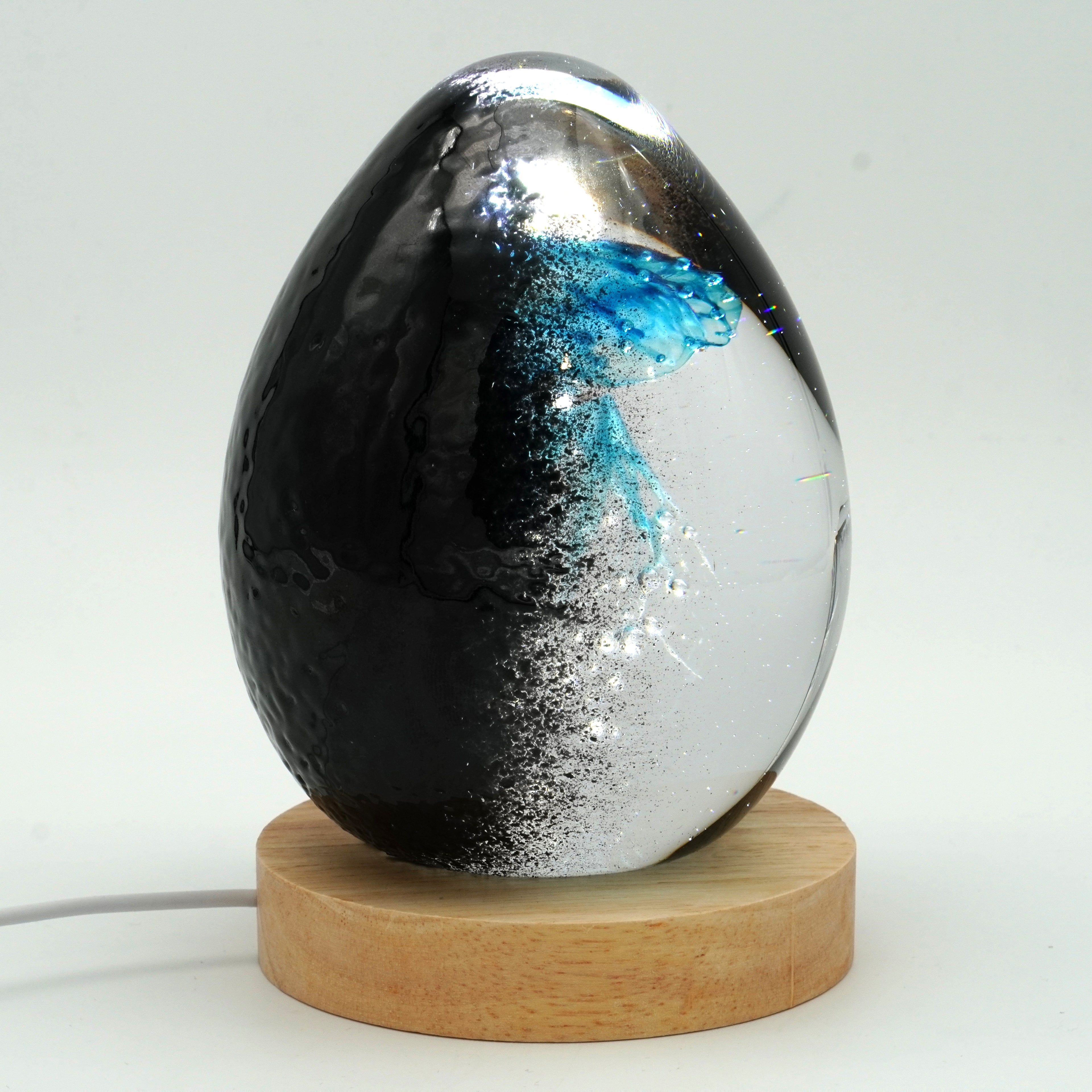 Méduse à fond noir (11 couleurs)