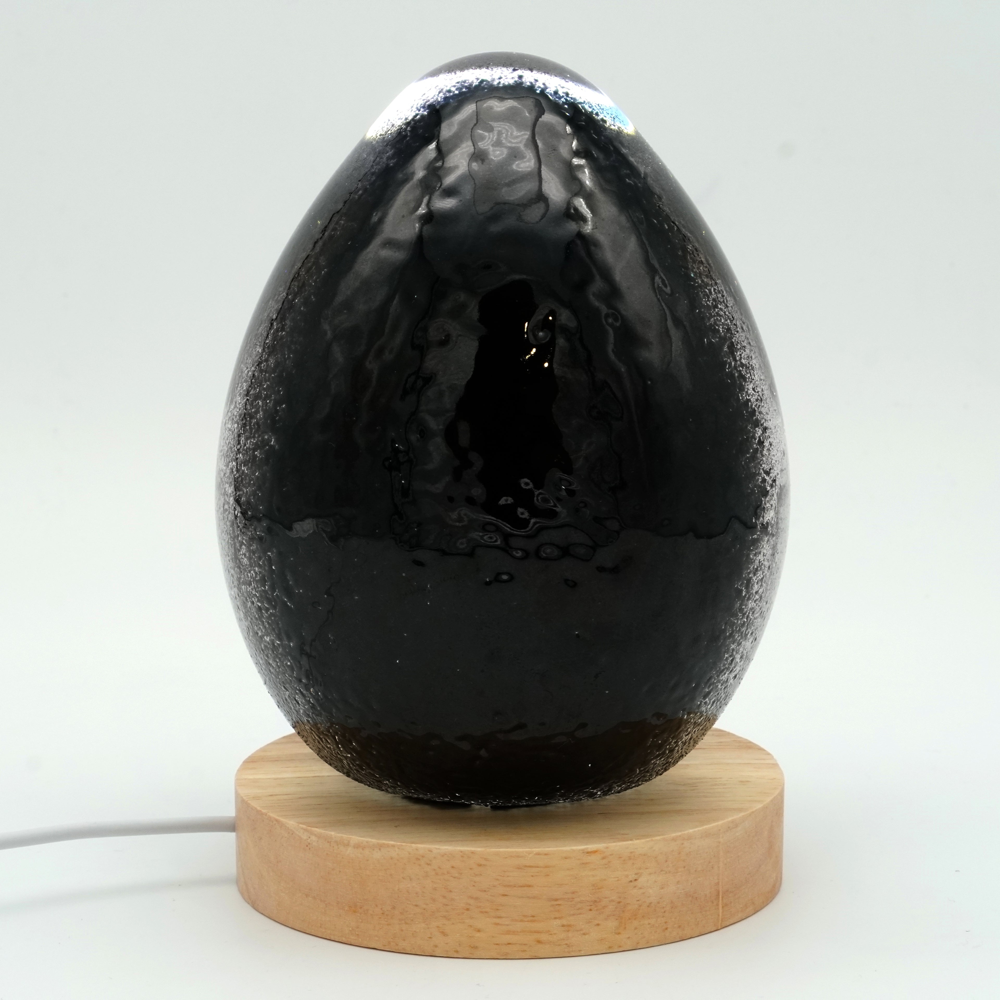 Méduse à fond noir (11 couleurs)