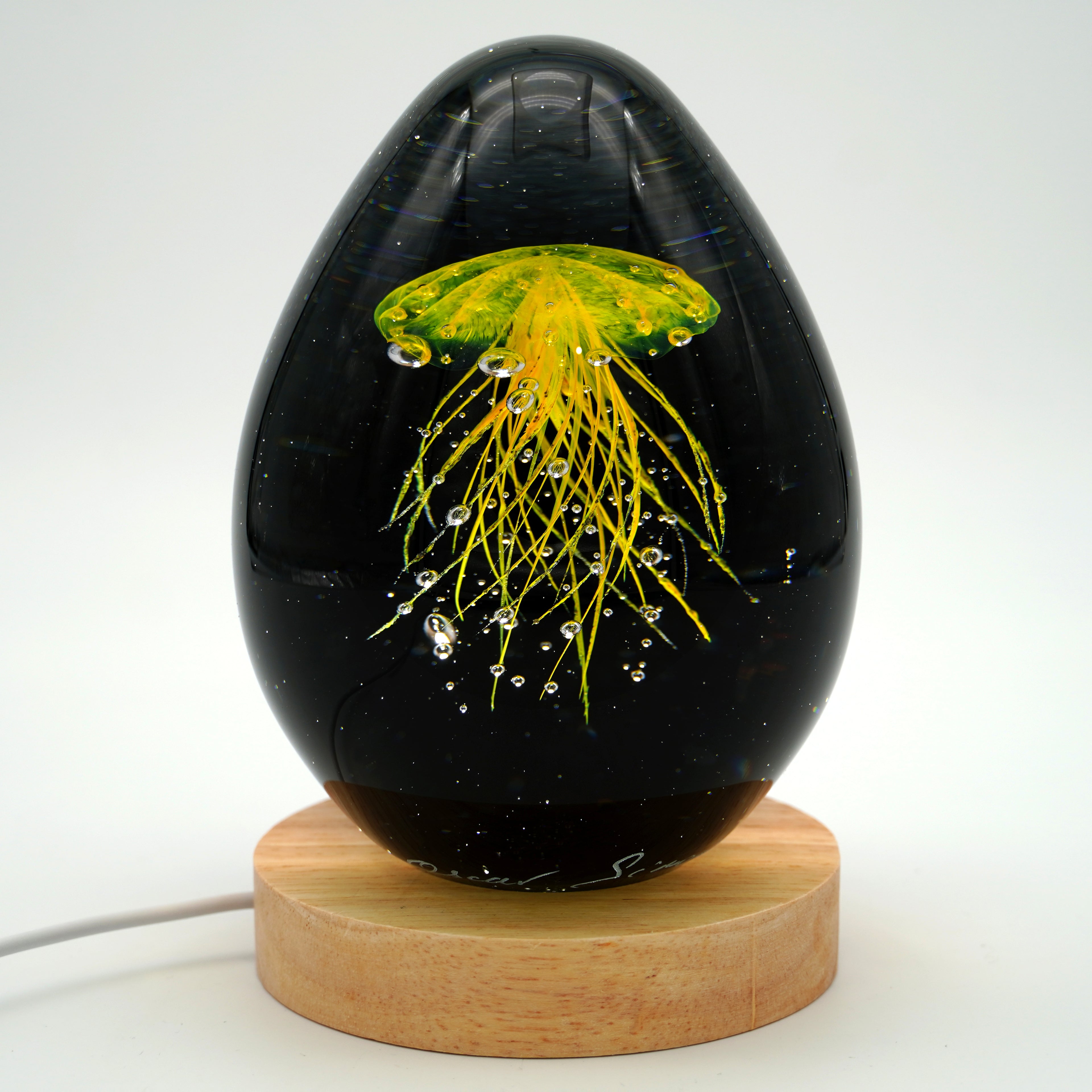 Méduse à fond noir (11 couleurs)