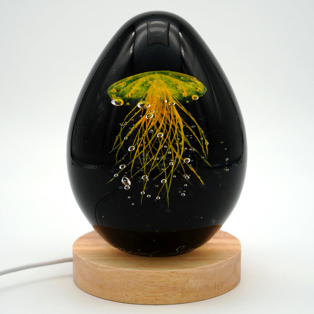 Méduse à fond noir (11 couleurs)