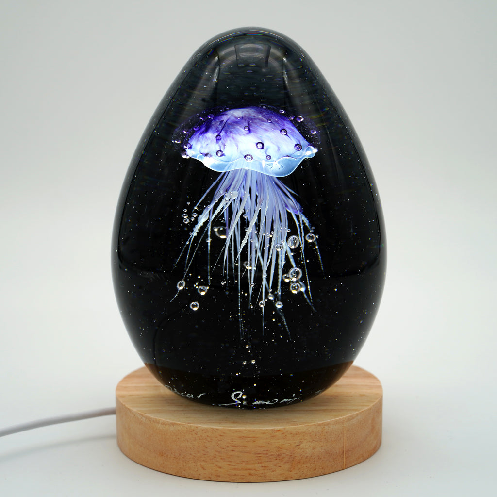 Méduse à fond noir (11 couleurs)