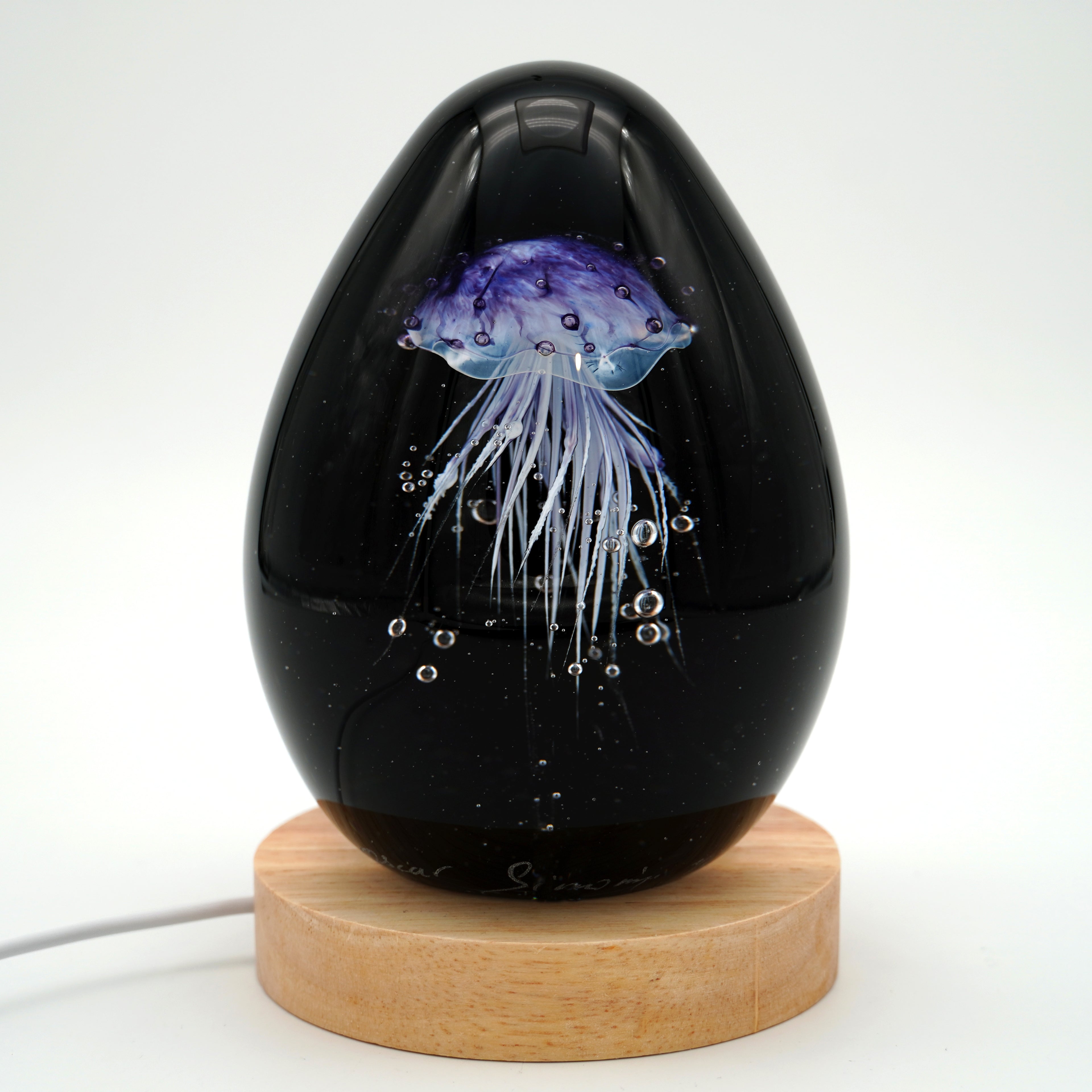 Méduse à fond noir (11 couleurs)