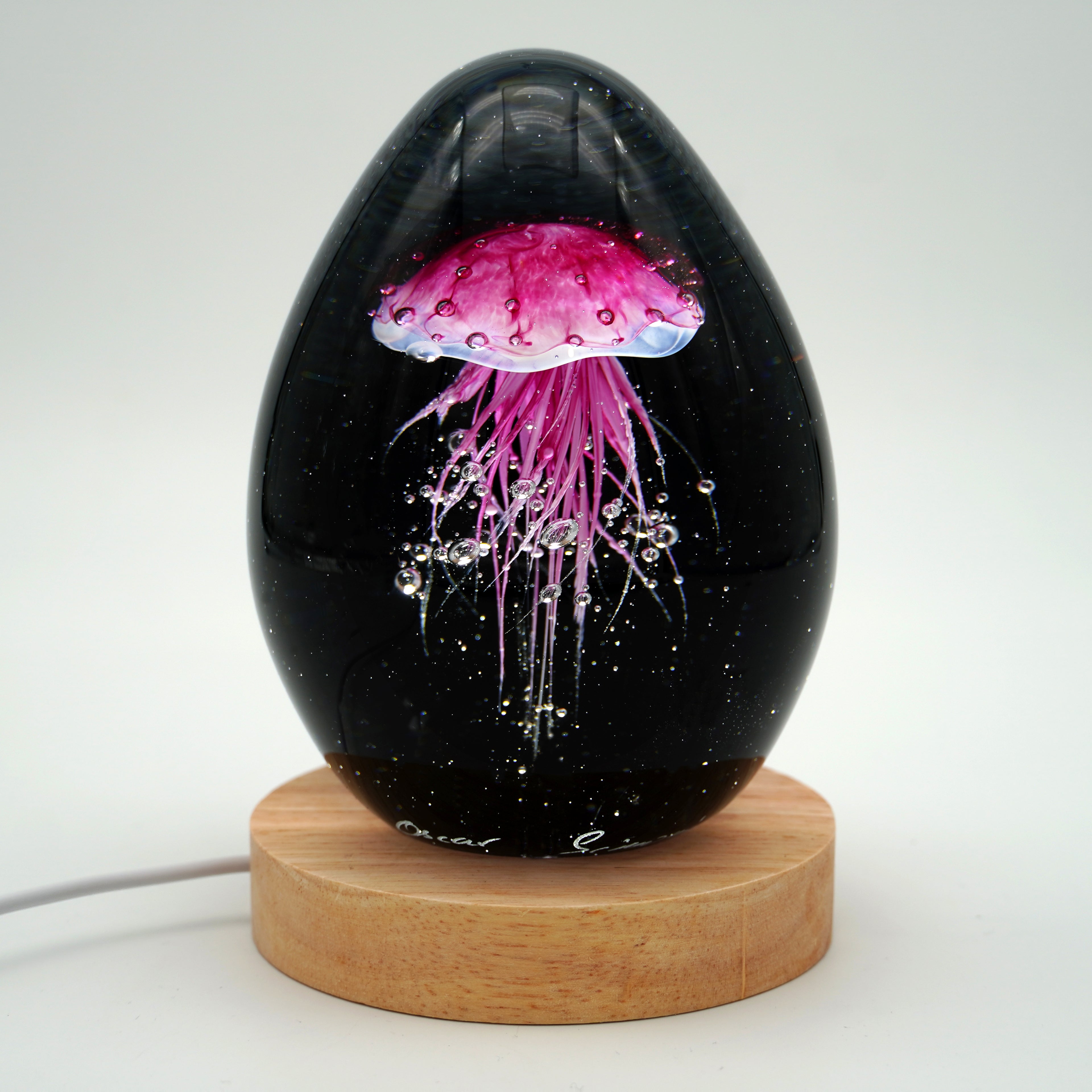 Méduse à fond noir (11 couleurs)