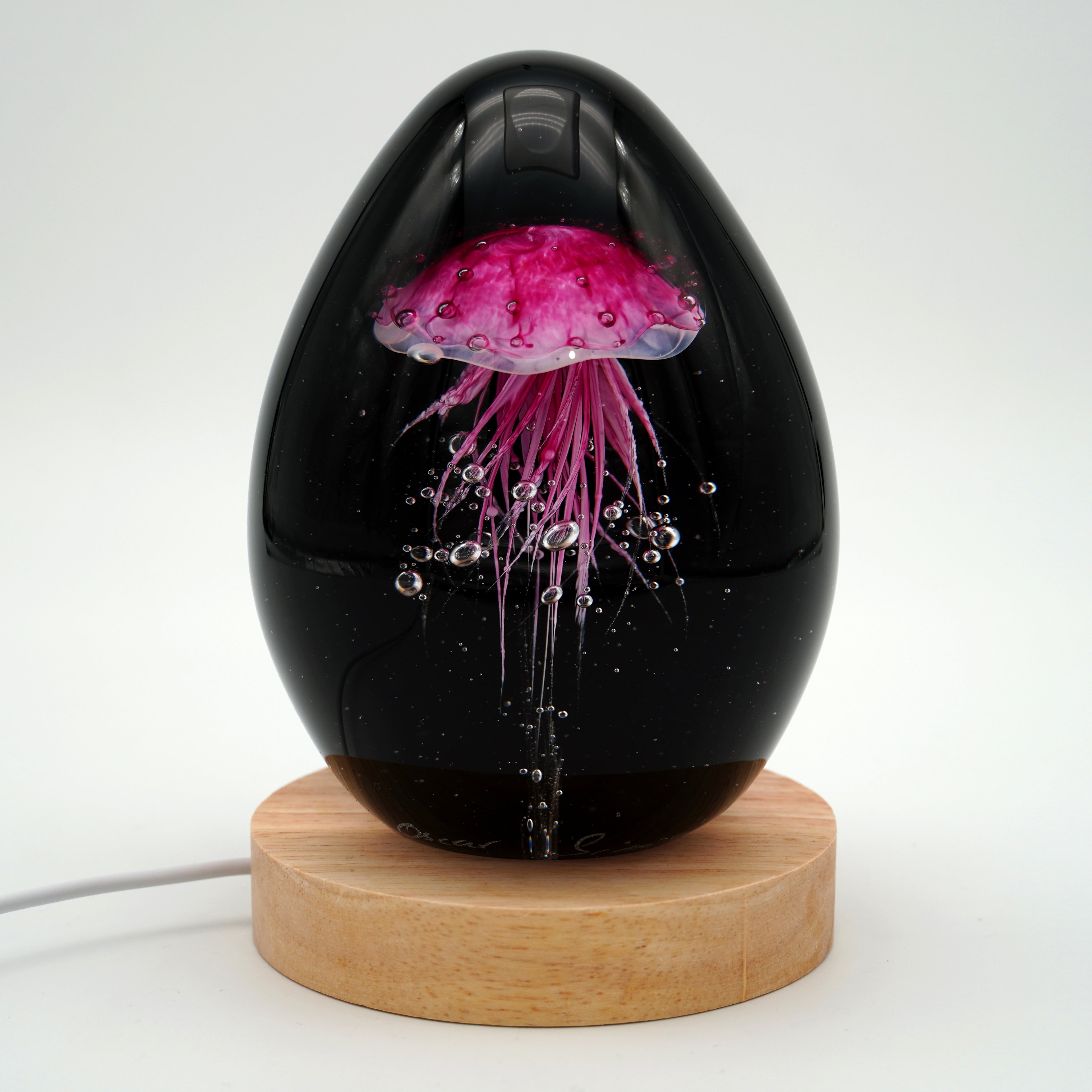 Méduse à fond noir (11 couleurs)