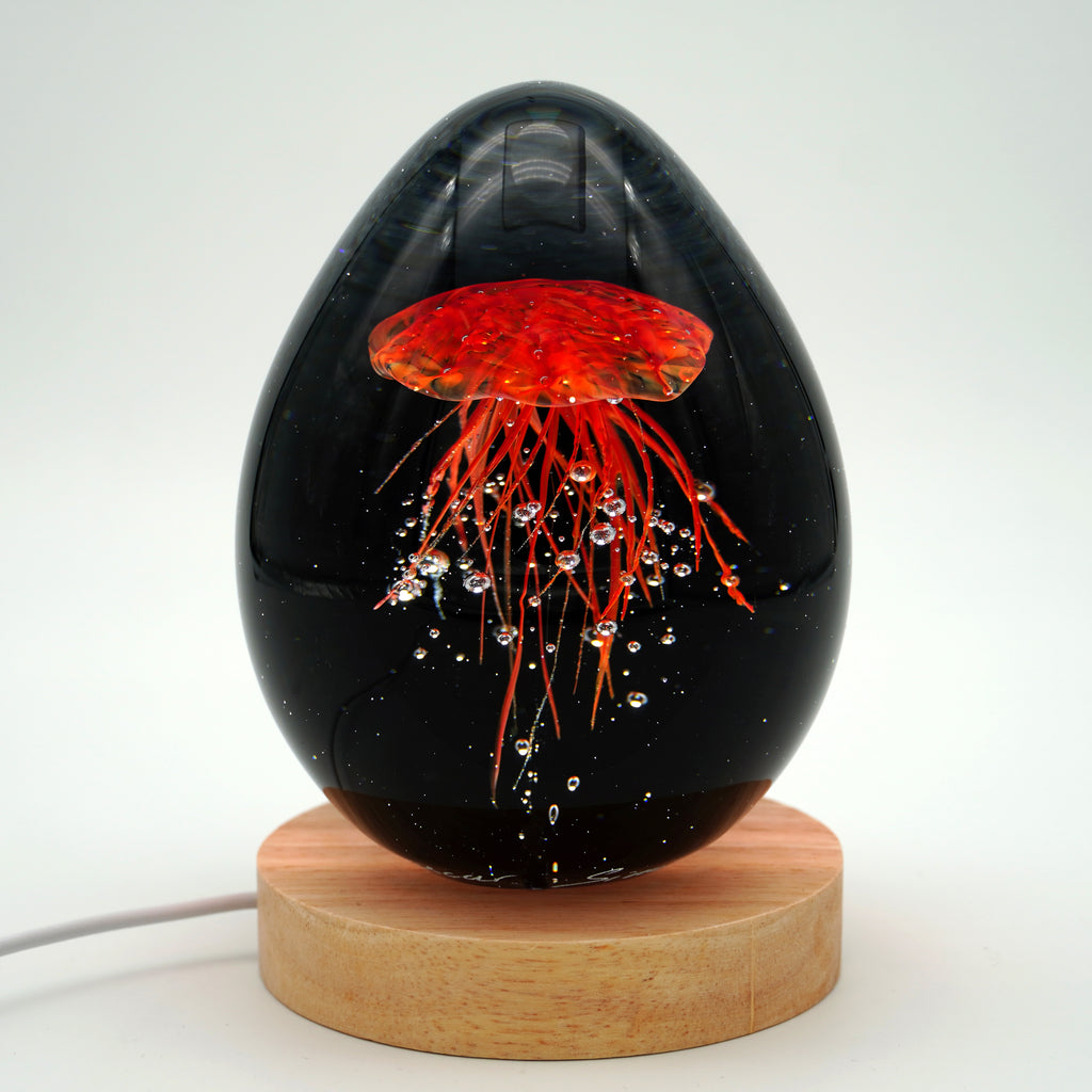 Méduse à fond noir (11 couleurs)