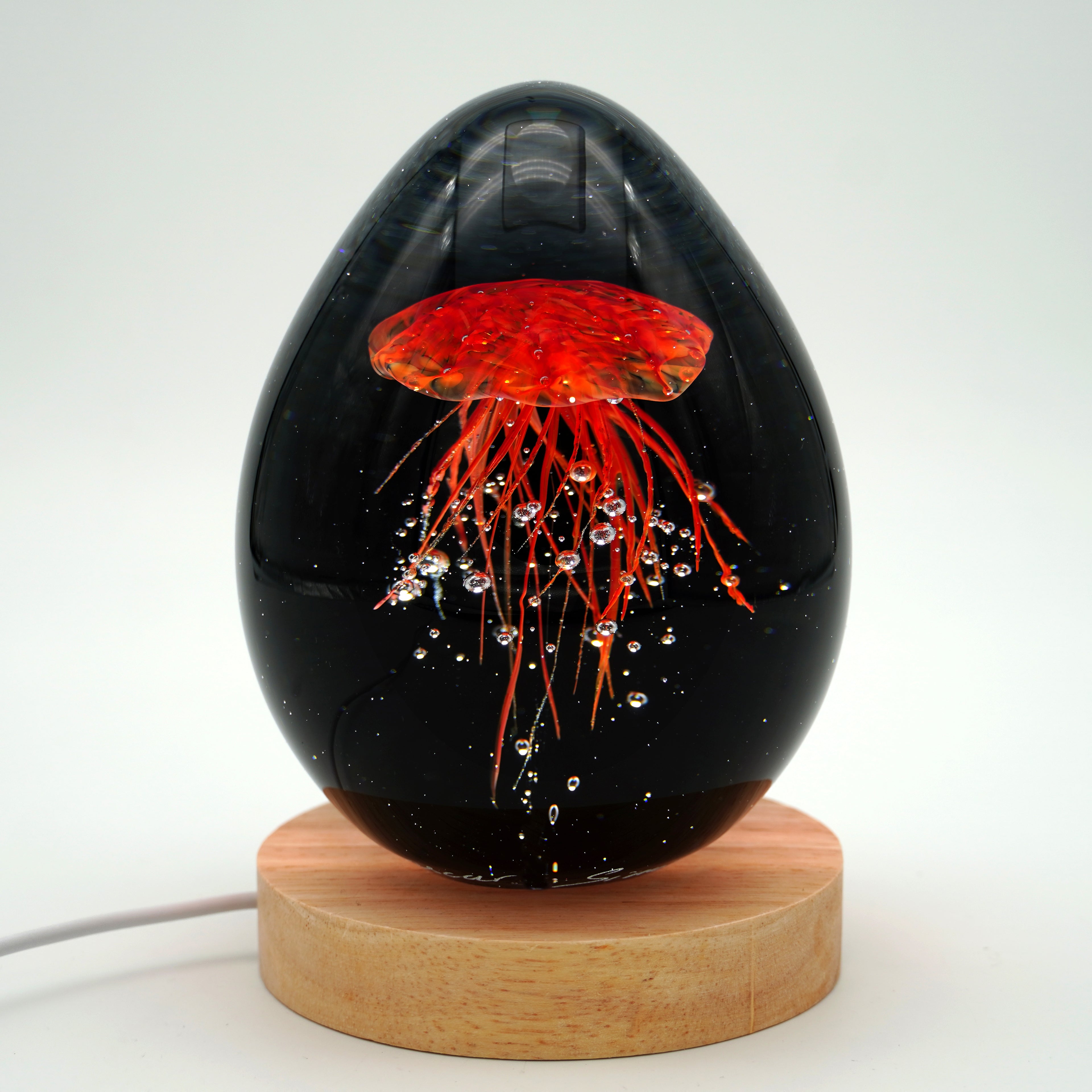 Méduse à fond noir (11 couleurs)