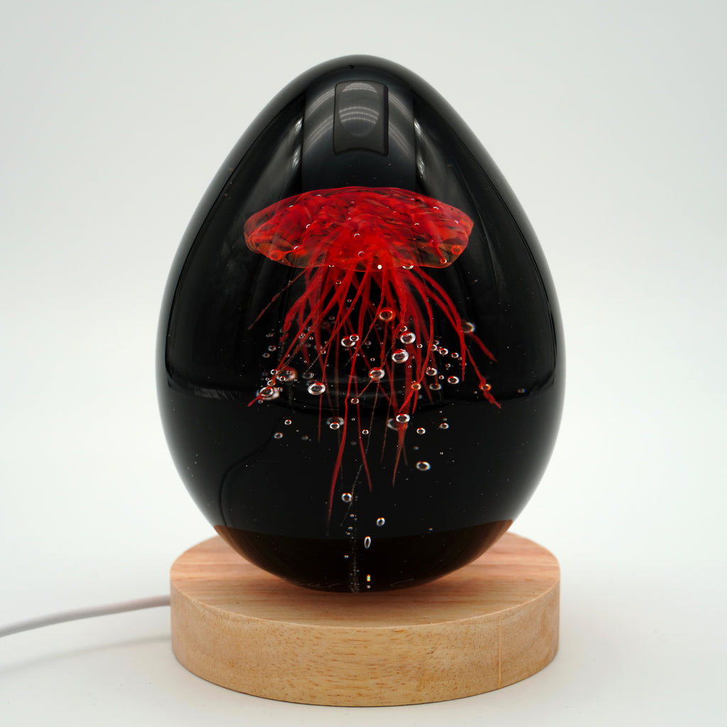 Méduse à fond noir (11 couleurs)