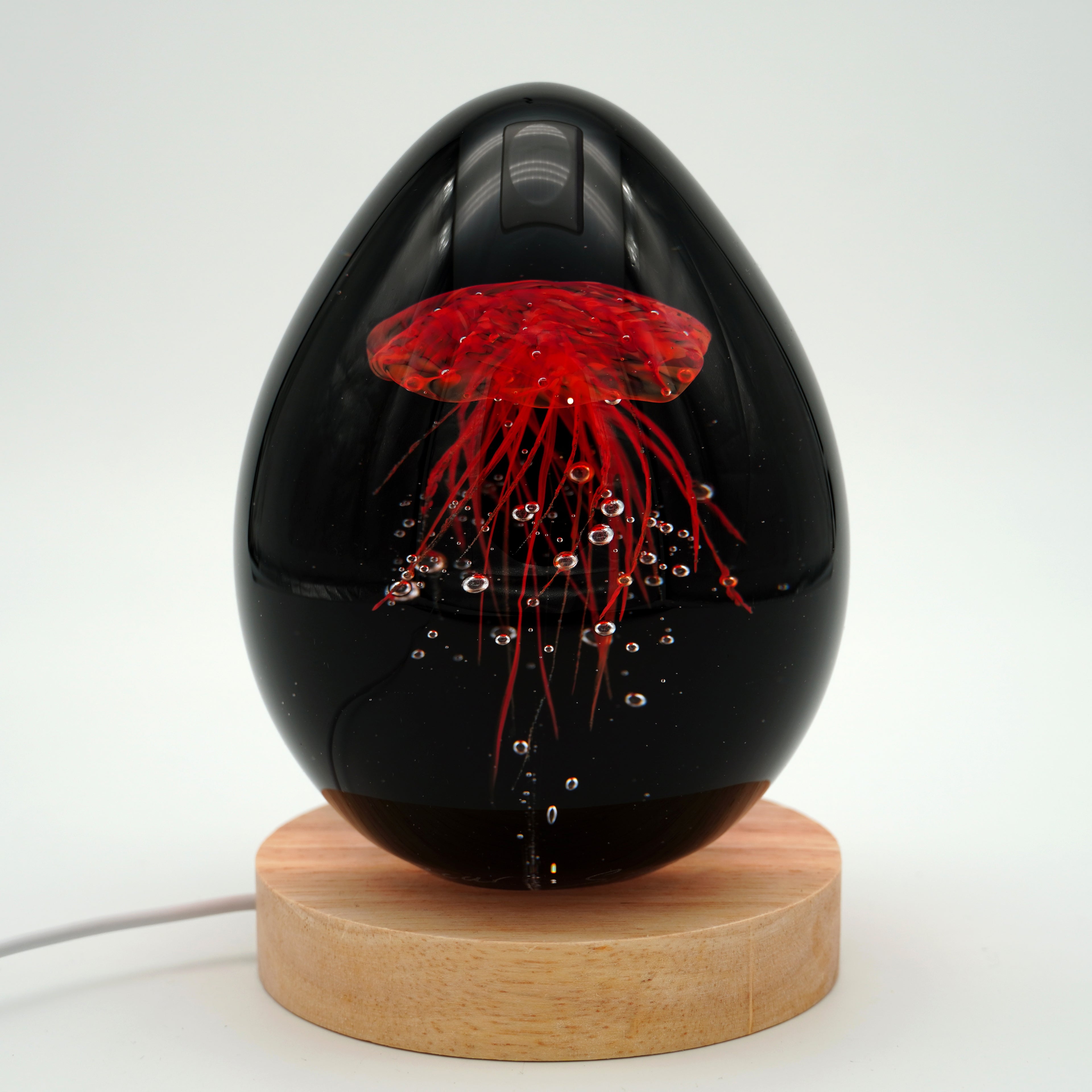 Méduse à fond noir (11 couleurs)