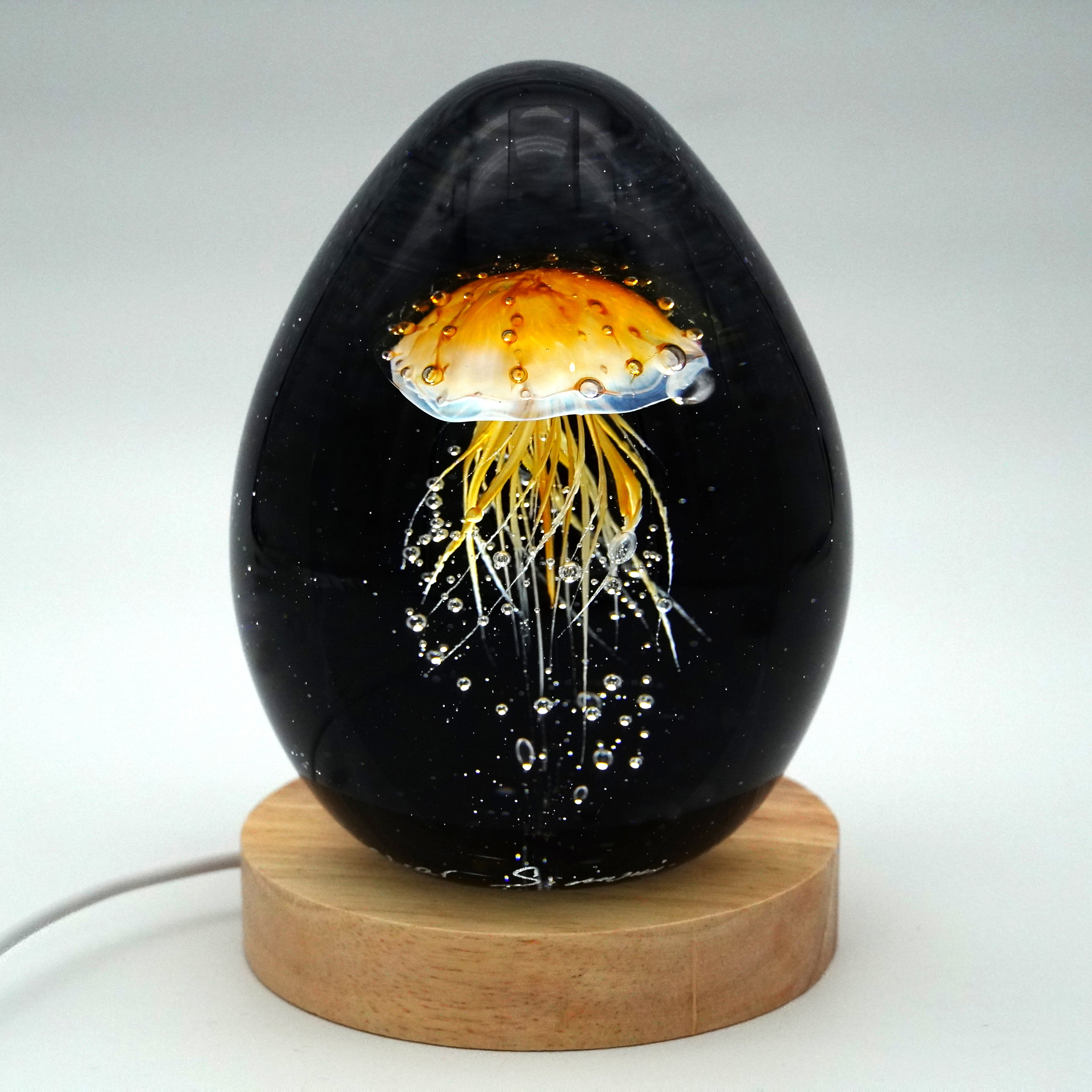 Méduse à fond noir (11 couleurs)