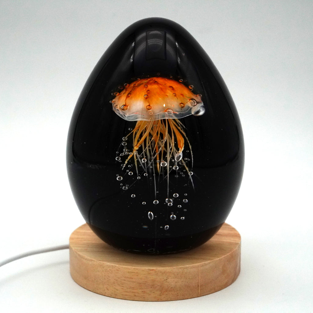 Méduse à fond noir (11 couleurs)