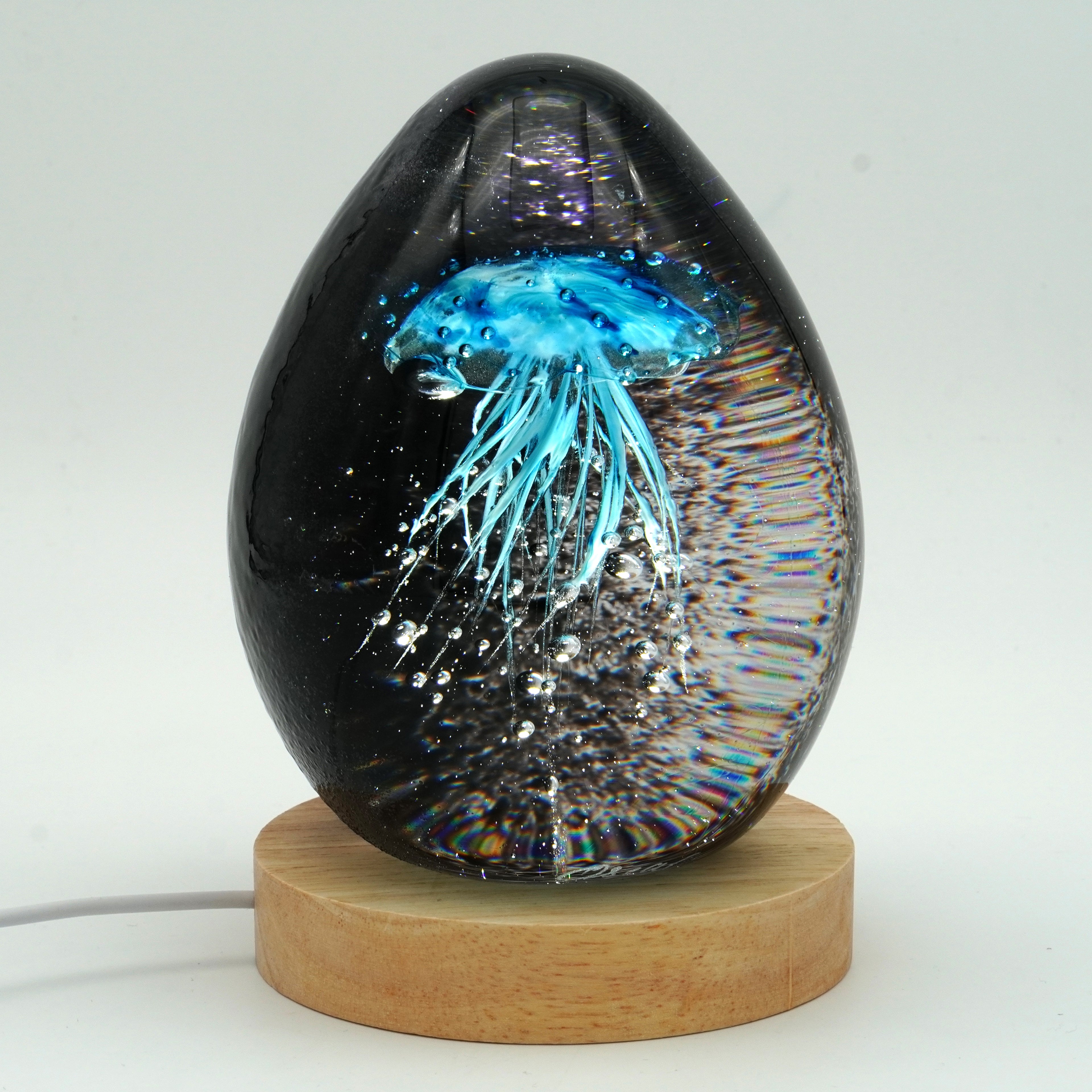 Méduse à fond noir (11 couleurs)