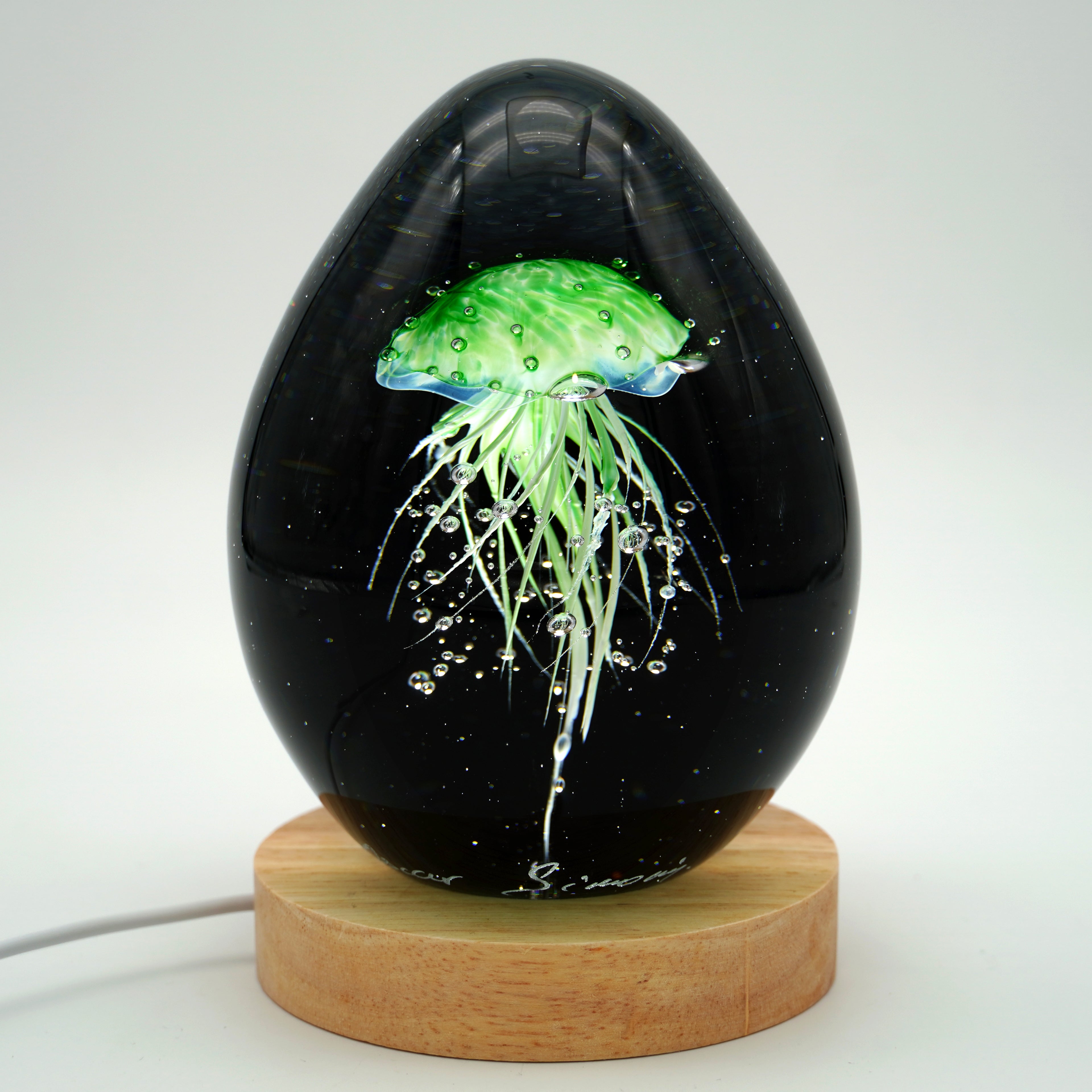 Méduse à fond noir (11 couleurs)