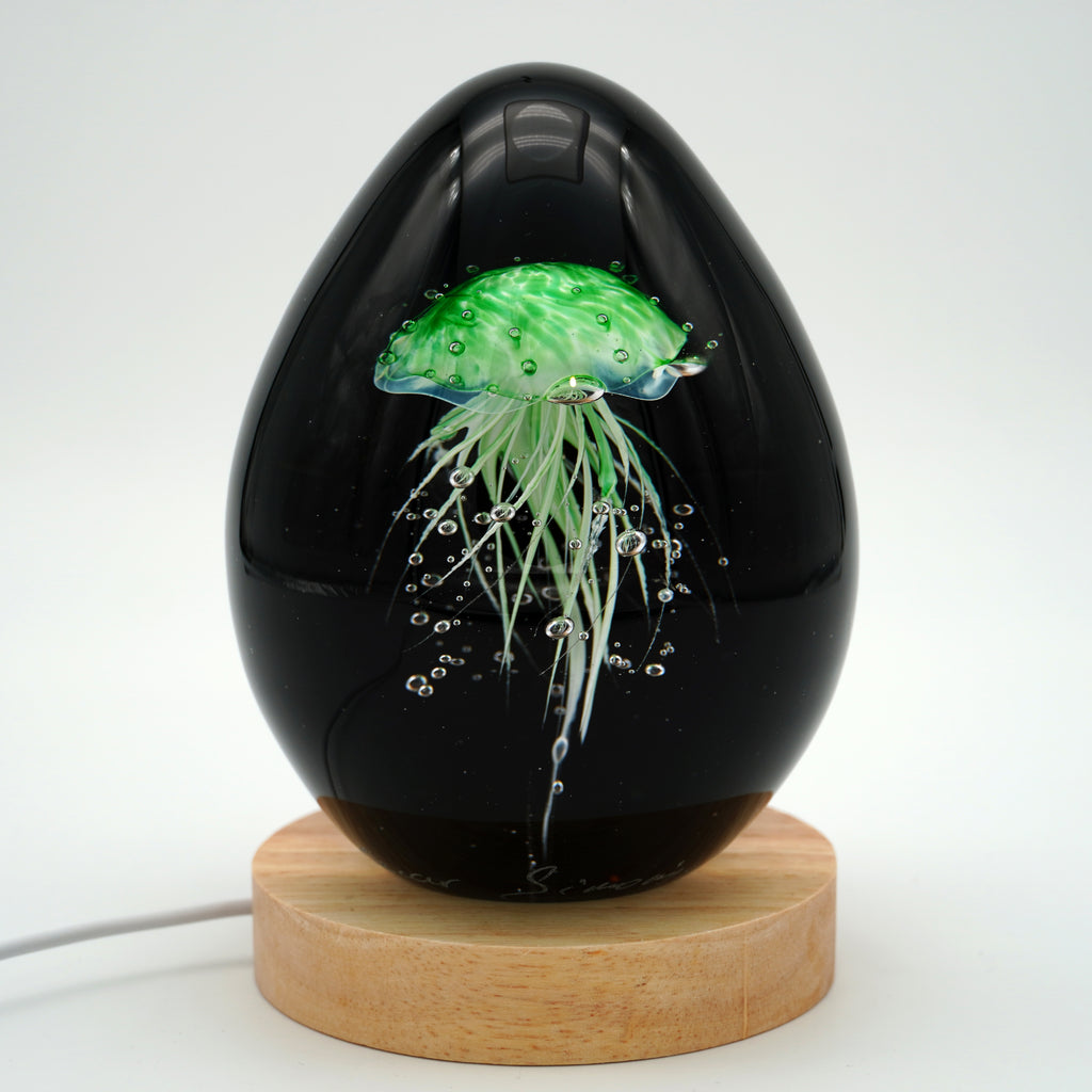 Méduse à fond noir (11 couleurs)